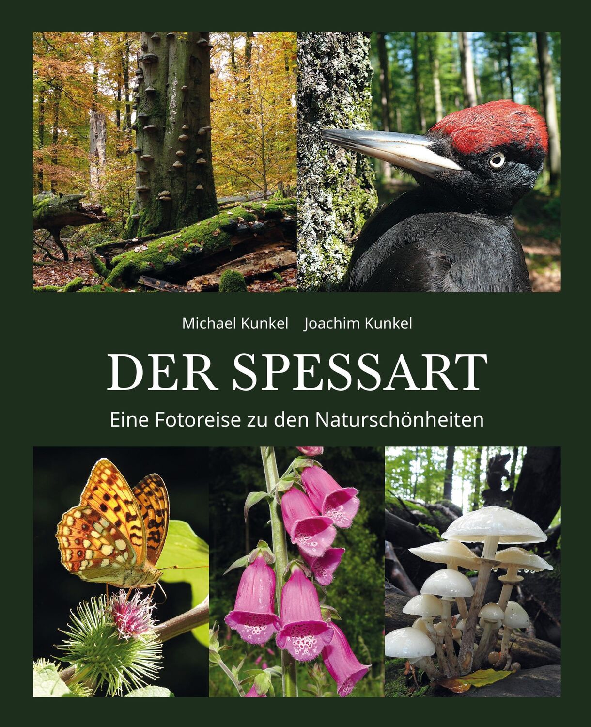 Bild: 9783958282766 | DER SPESSART | Eine Fotoreise zu den Naturschönheiten | Joachim Kunkel