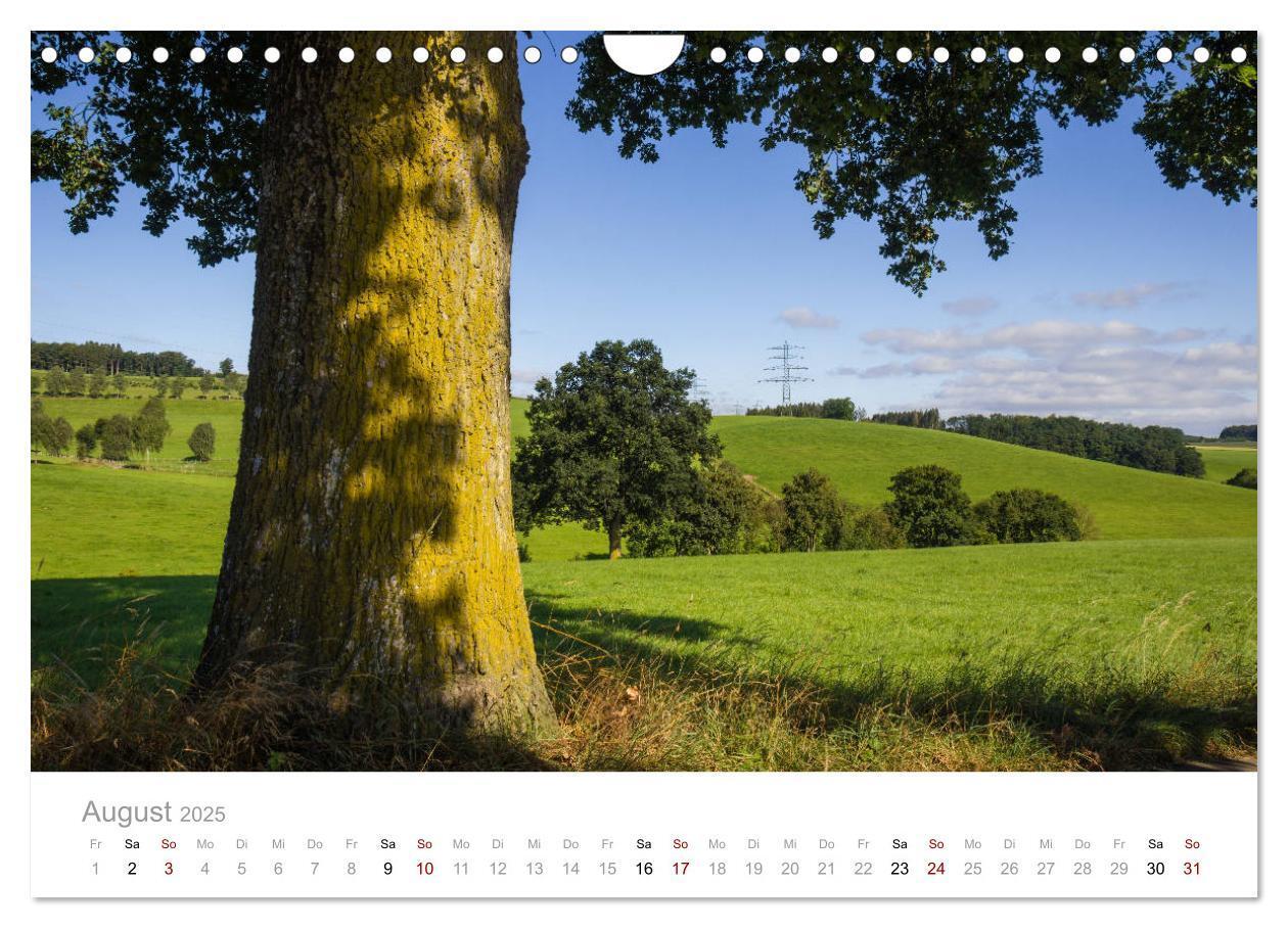 Bild: 9783435398010 | Schönes Sauerland (Wandkalender 2025 DIN A4 quer), CALVENDO...