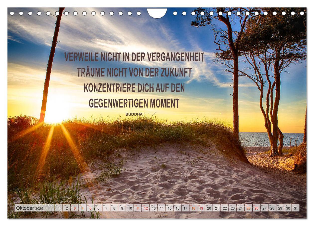 Bild: 9783435123391 | Motivation und Meer (Wandkalender 2025 DIN A4 quer), CALVENDO...