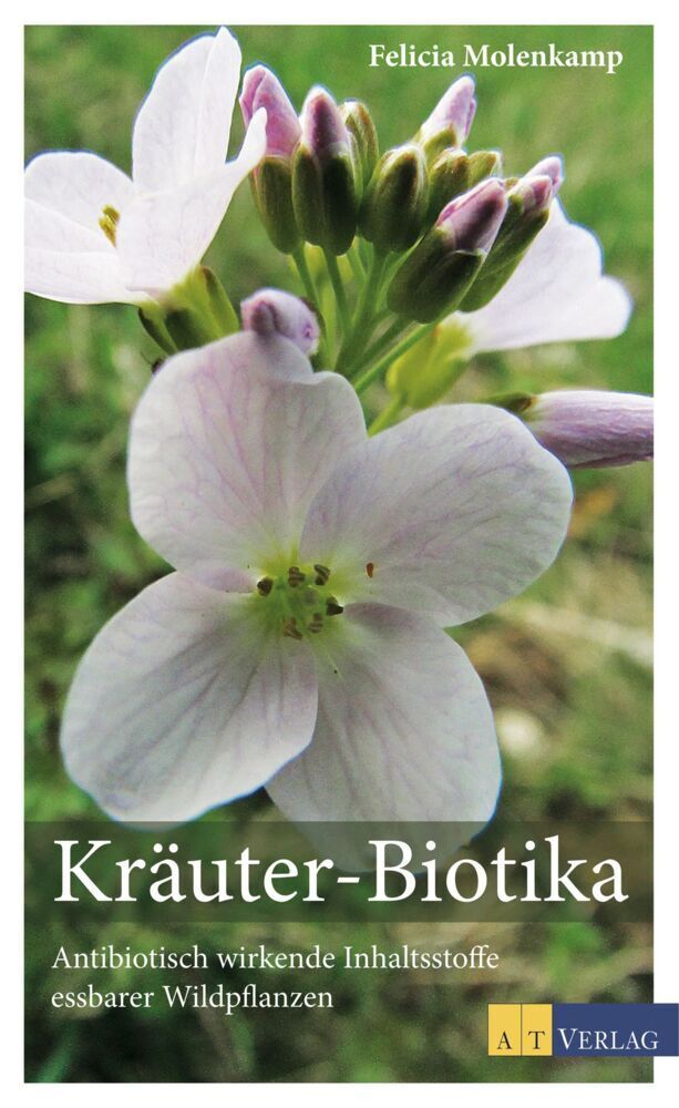 Cover: 9783038008224 | Kräuter-Biotika | Felicia Molenkamp | Buch | 174 S. | Deutsch | 2015