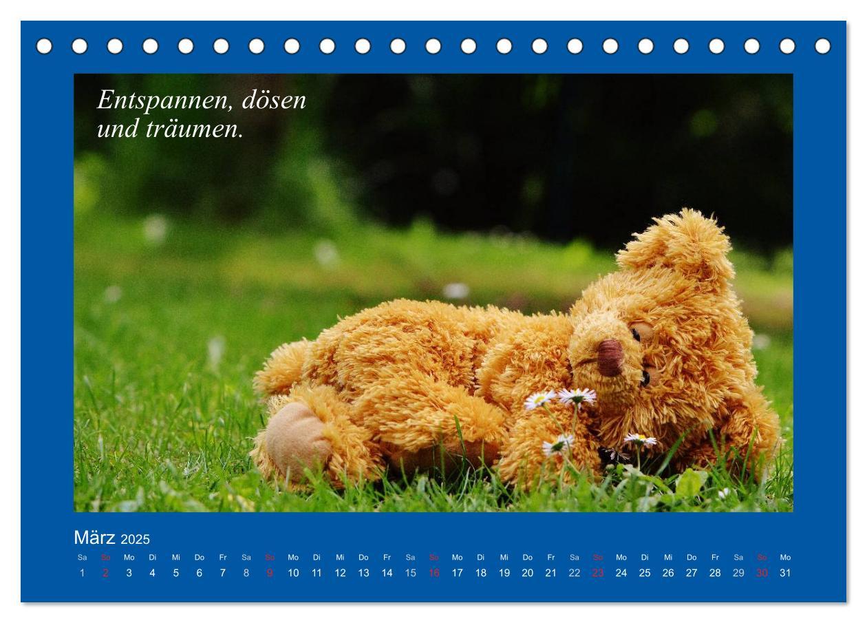 Bild: 9783435593972 | Sommer im Teddy-Land. Bär und Freunde (Tischkalender 2025 DIN A5...