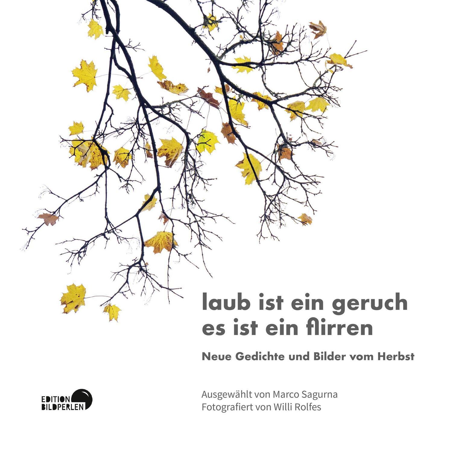 Cover: 9783965460133 | laub ist ein geruch es ist ein flirren | Marco Sagurna | Buch | 2023