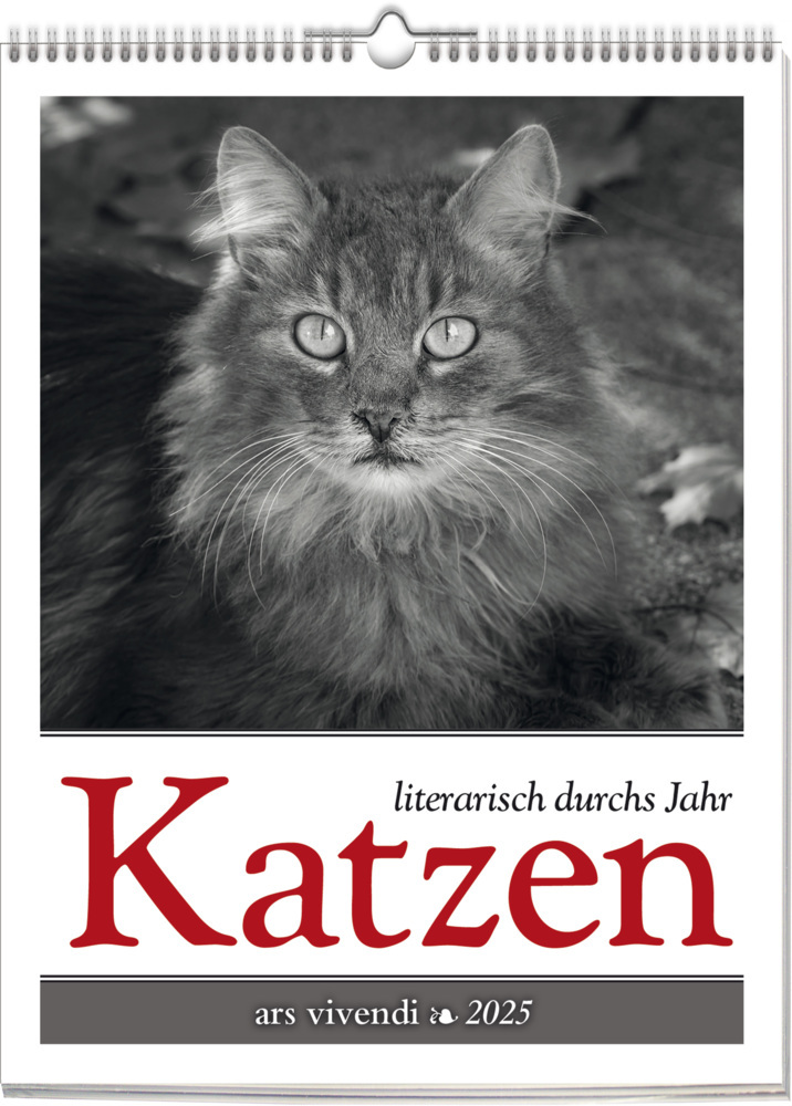 Cover: 9783747205655 | Katzen - Literarisch durchs Jahr 2025 | Wochenkalender | Kalender