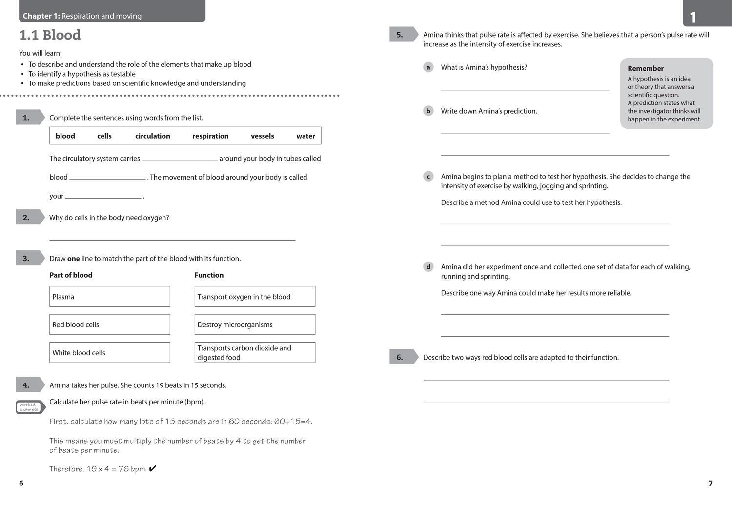 Bild: 9780008364328 | Lower Secondary Science Workbook: Stage 8 | Taschenbuch | Englisch