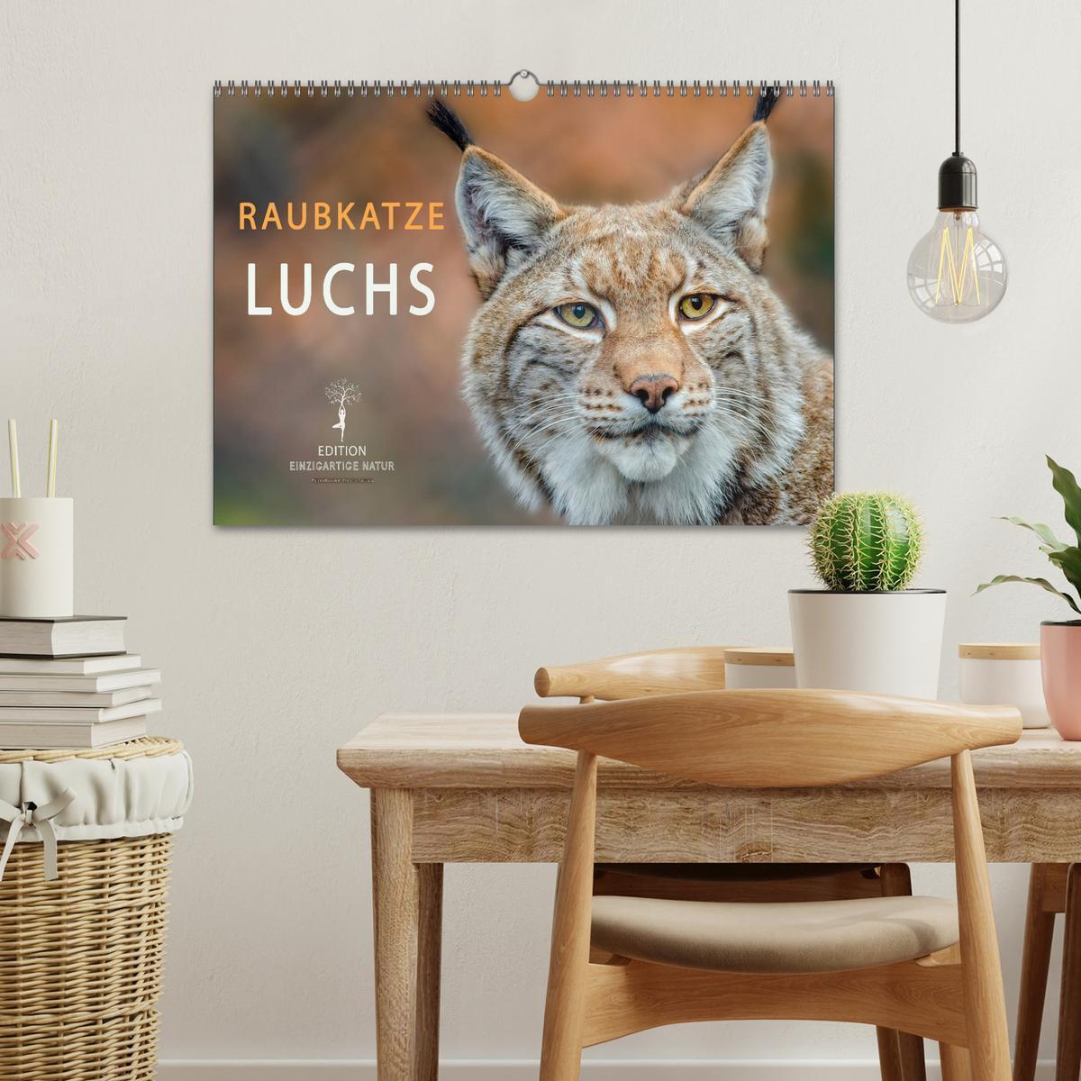 Bild: 9783435118397 | Raubkatze Luchs (Wandkalender 2025 DIN A3 quer), CALVENDO...