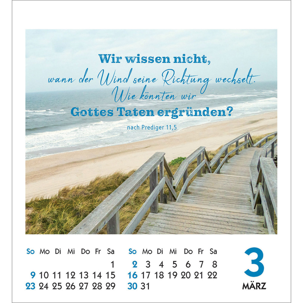 Bild: 9783754890257 | Frei sein &amp; leben 2025 | Aufkleber-Kalender | Kalender | 14 S. | 2025