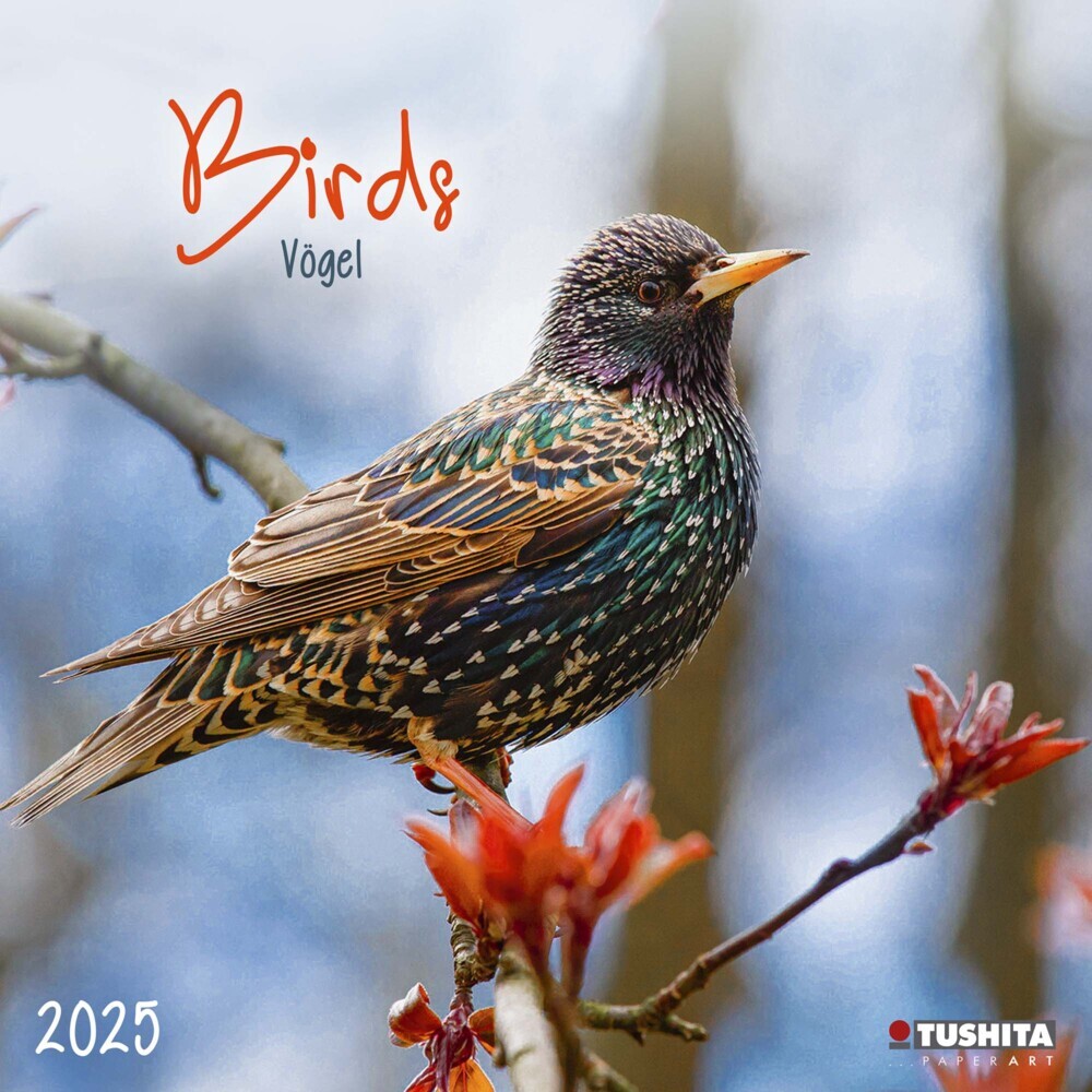 Cover: 9783959294034 | Birds 2025 | Kalender 2025 | Kalender | Drahtheftung | 28 S. | 2025