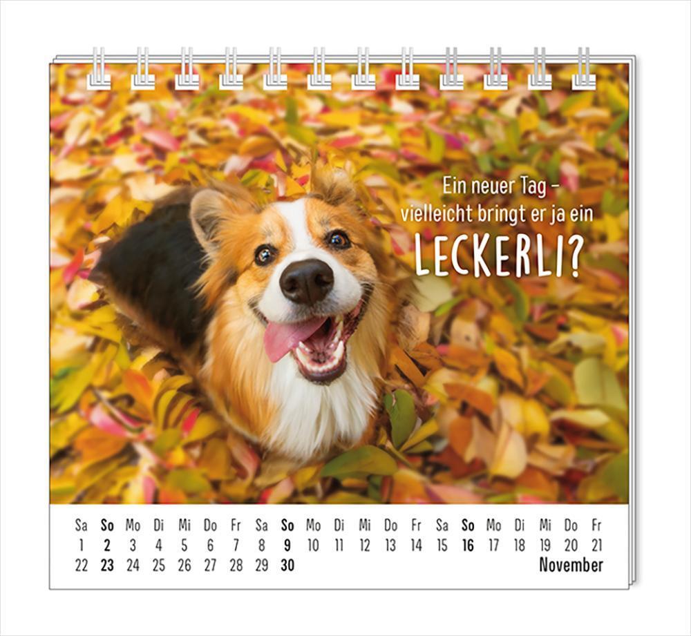 Bild: 9783986361099 | Mini-Kalender 2025 Happymacher | Mini-Kalender | Original | Kalender