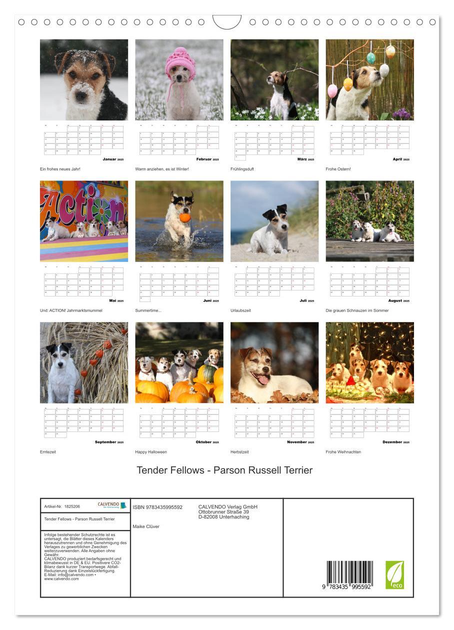 Bild: 9783435995592 | Tender Fellows - Parson Russell Terrier (Wandkalender 2025 DIN A3...