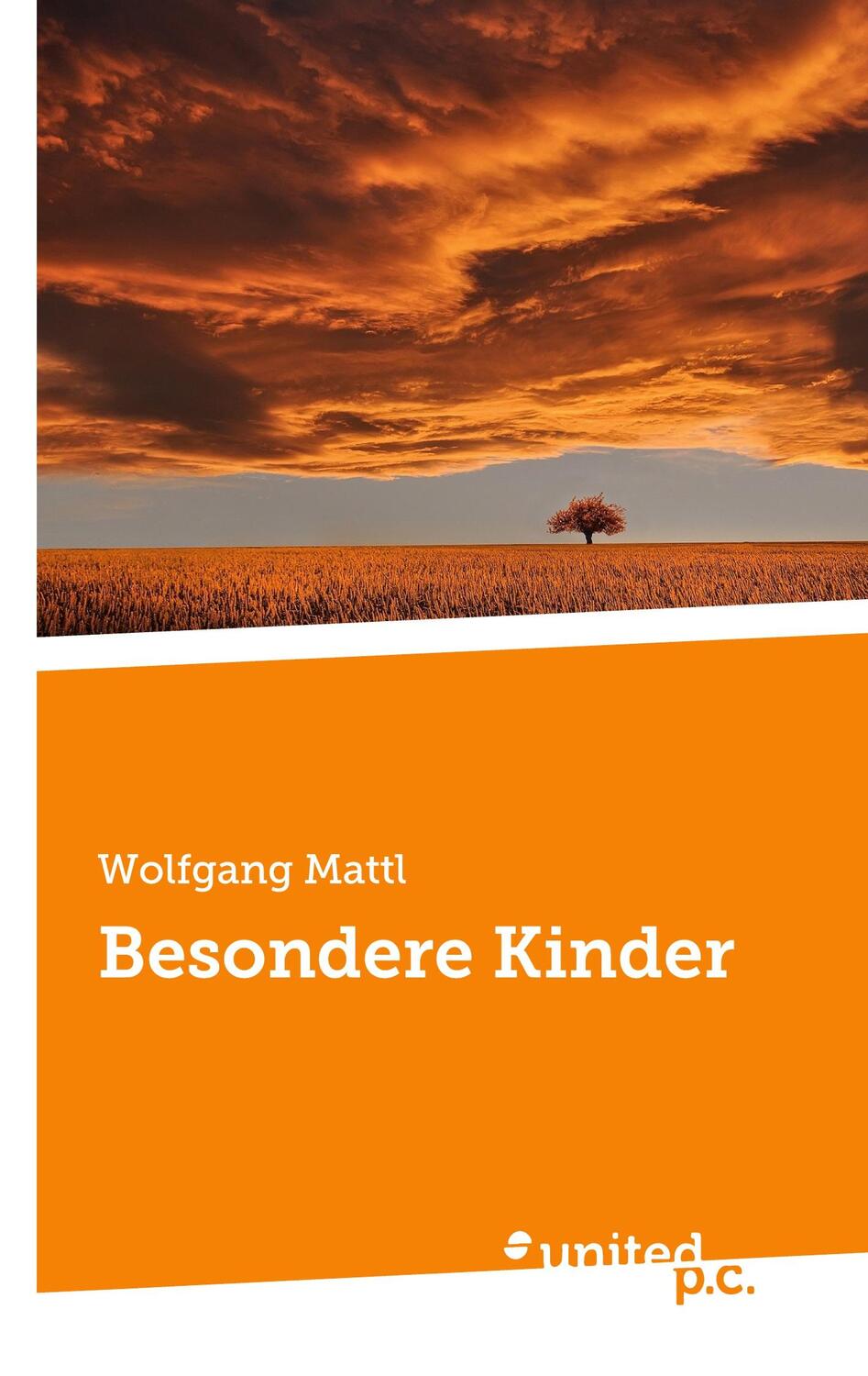 Cover: 9783710358647 | Besondere Kinder | Wolfgang Mattl | Taschenbuch | Paperback | 144 S.