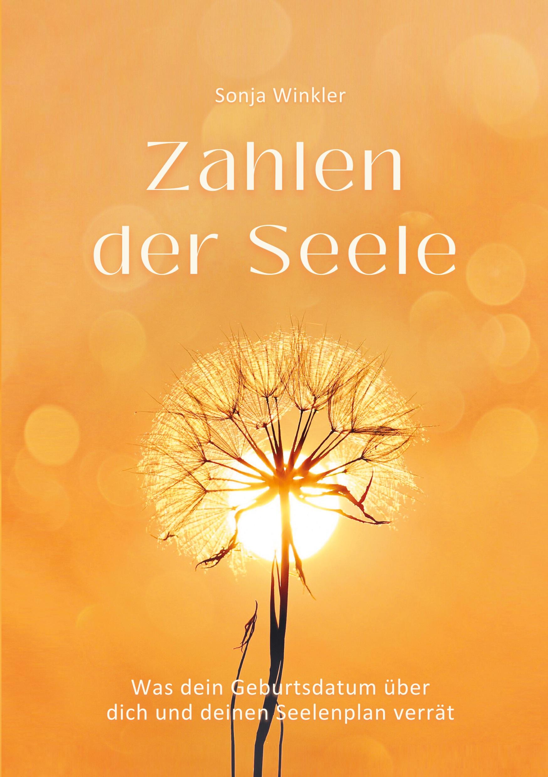 Cover: 9783769308525 | Zahlen der Seele | Sonja Winkler | Taschenbuch | Paperback | 336 S.