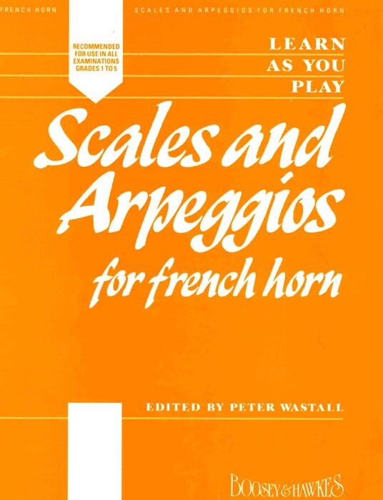 Cover: 9790060080968 | Learn As You Play Scals and Arpeggios | Peter Wastall | Buch