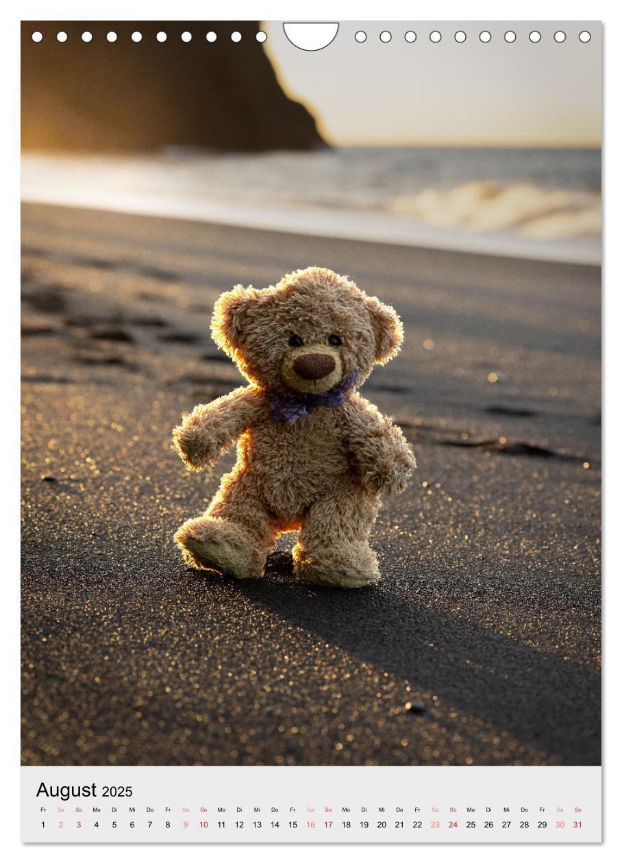 Bild: 9783457136959 | Travelling Teddy in Island (Wandkalender 2025 DIN A4 hoch),...