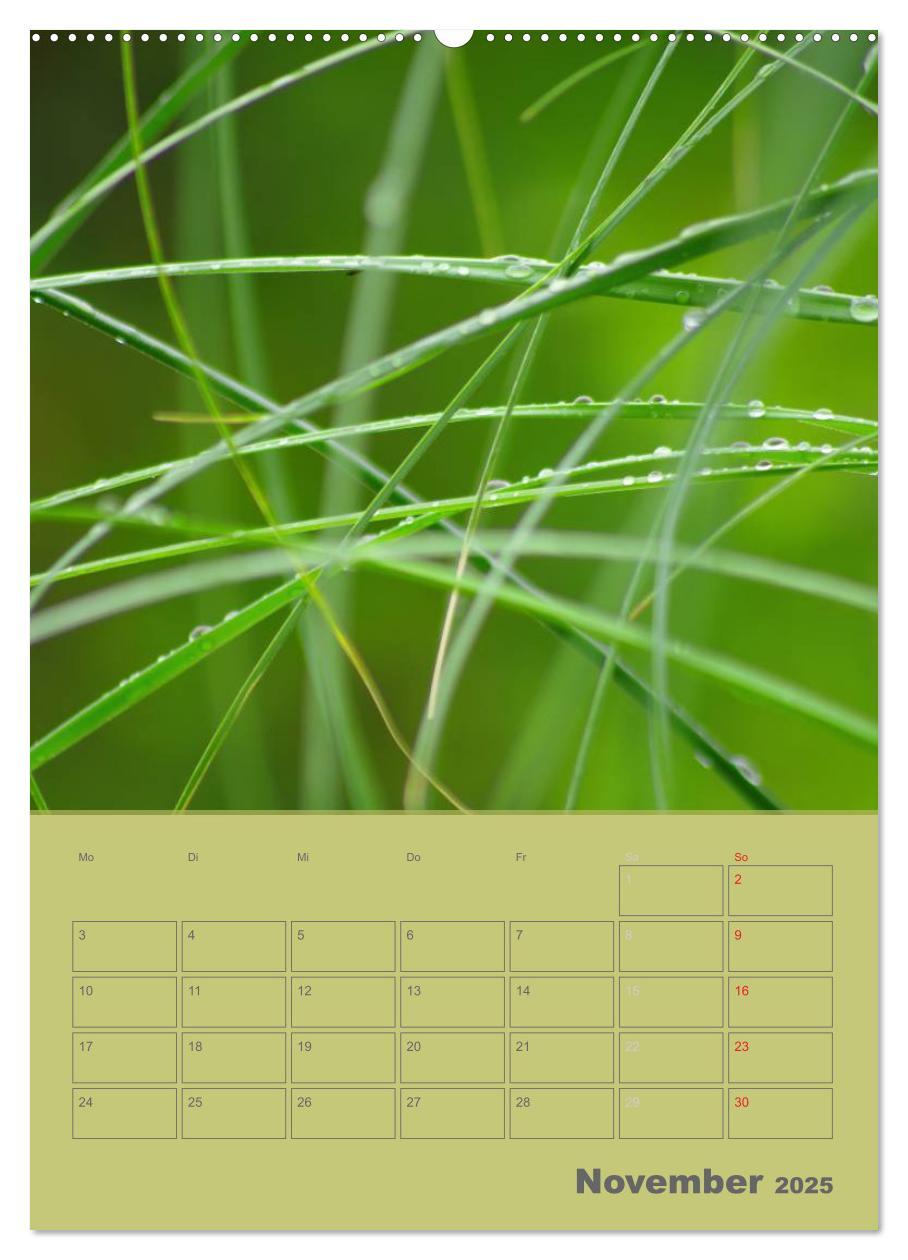 Bild: 9783457087817 | Naturbilder (Wandkalender 2025 DIN A2 hoch), CALVENDO Monatskalender