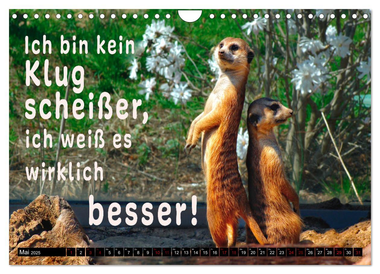 Bild: 9783435088669 | Spruchreif - Gute-Laune-Kalender (Wandkalender 2025 DIN A4 quer),...