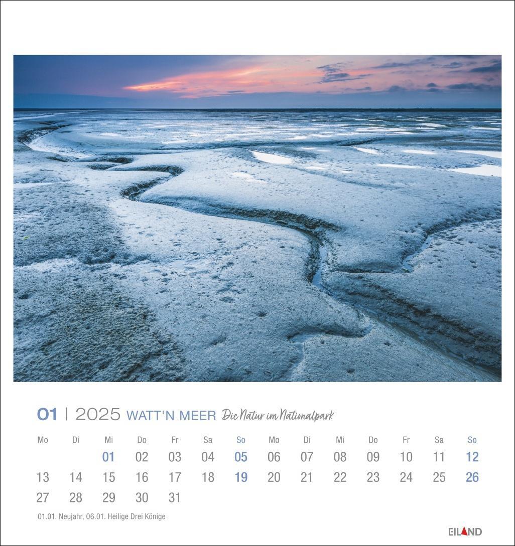 Bild: 9783964023285 | Watt'n Meer Postkartenkalender 2025 - Die Natur im Nationalpark | 2025