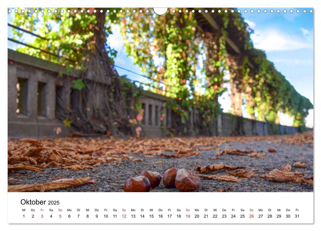 Bild: 9783435290888 | Kassel - Impressionen (Wandkalender 2025 DIN A3 quer), CALVENDO...