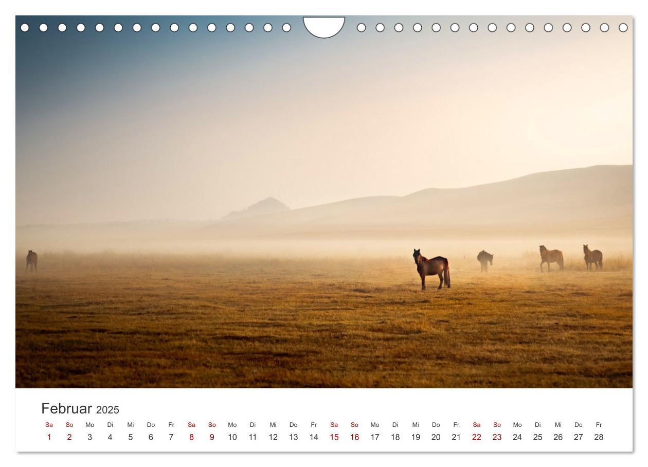 Bild: 9783383927973 | Freiheitsliebende Wildpferde (Wandkalender 2025 DIN A4 quer),...