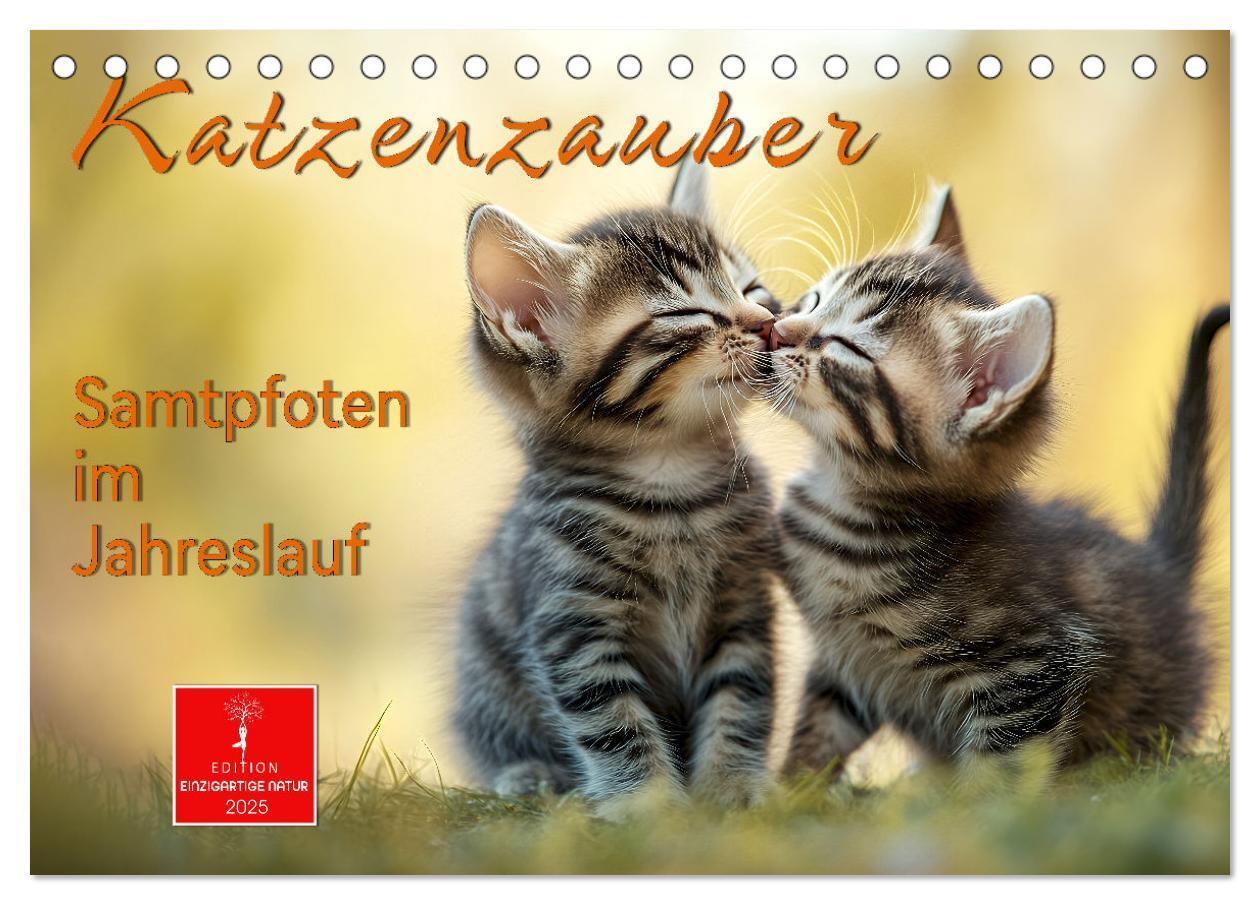 Cover: 9783457218334 | Katzenzauber - Samtpfoten im Jahreslauf (Tischkalender 2025 DIN A5...