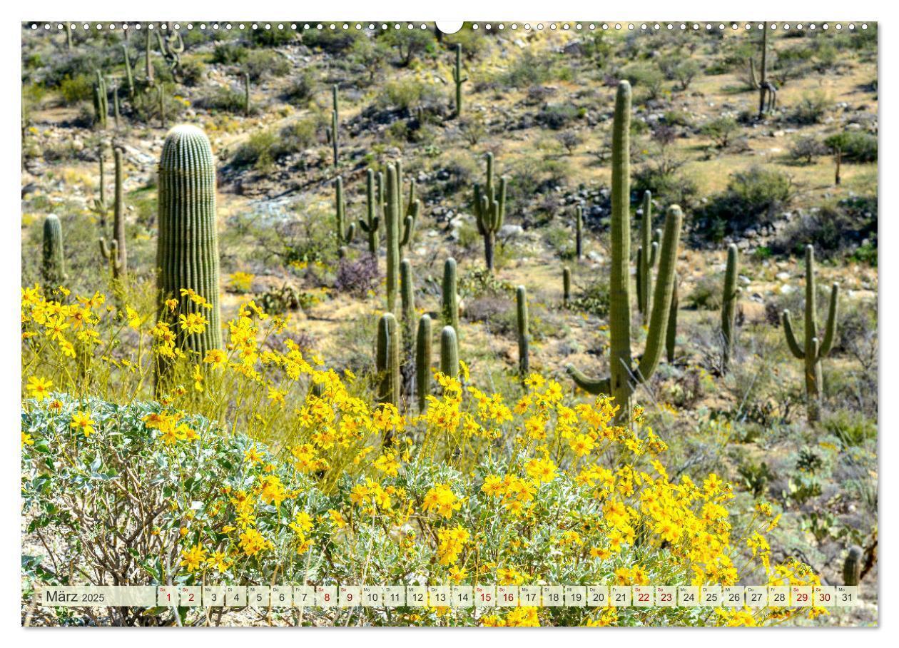 Bild: 9783383796517 | Unterwegs in ARIZONA (Wandkalender 2025 DIN A2 quer), CALVENDO...