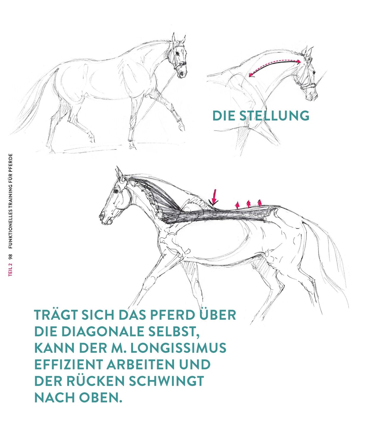 Bild: 9783275023066 | Die Kraft der Diagonalen | Gabriele Rachen-Schöneich (u. a.) | Buch