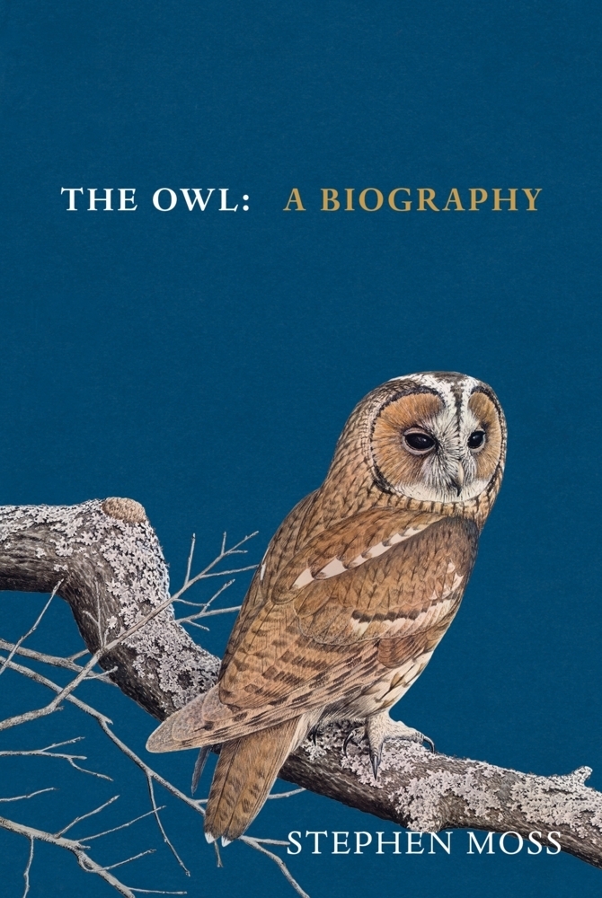 Cover: 9781529908268 | The Owl | A Biography | Stephen Moss | Buch | Gebunden | Englisch