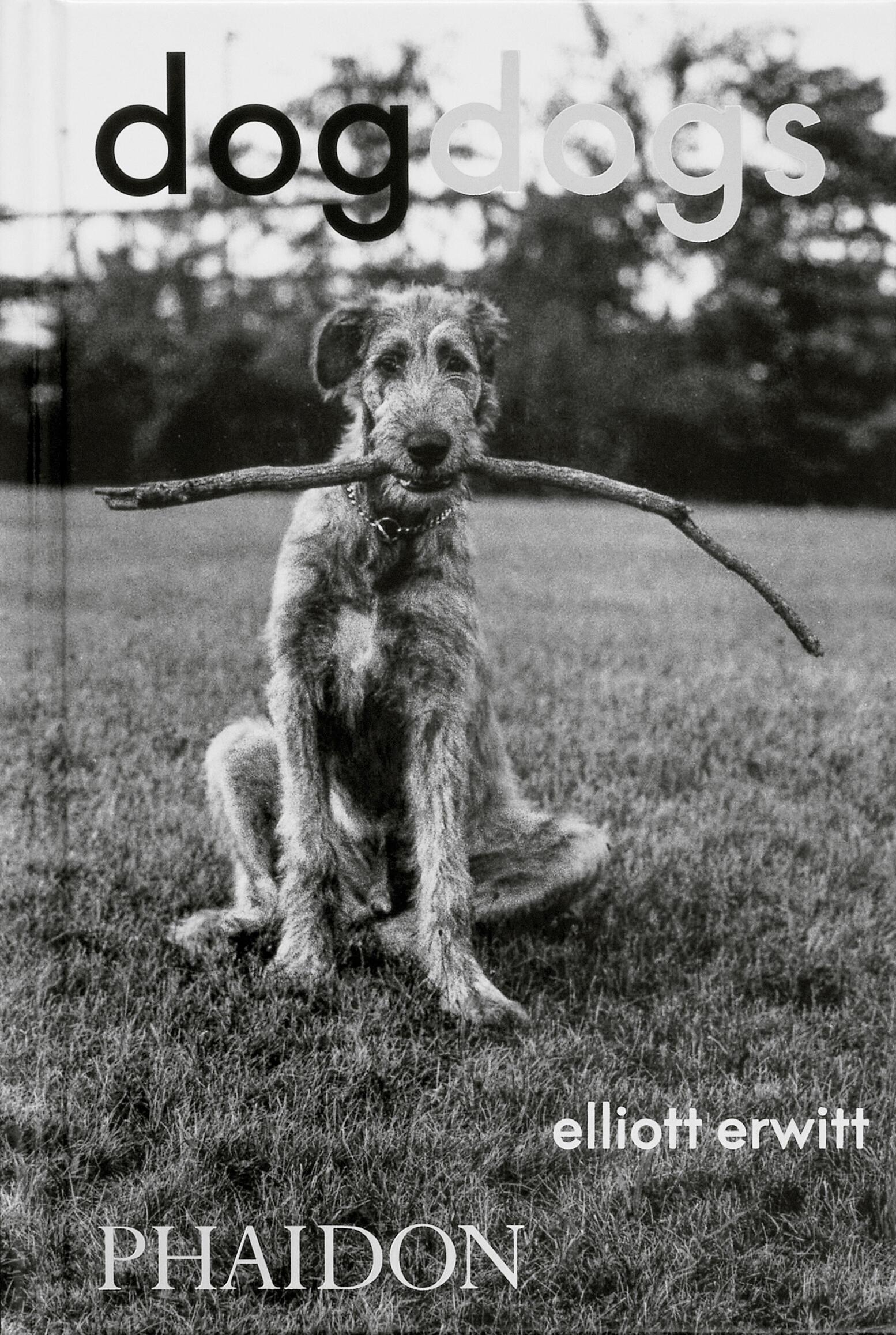 Cover: 9781838669256 | DogDogs | Elliott Erwitt | Buch | Phaidon Press | 512 S. | Englisch