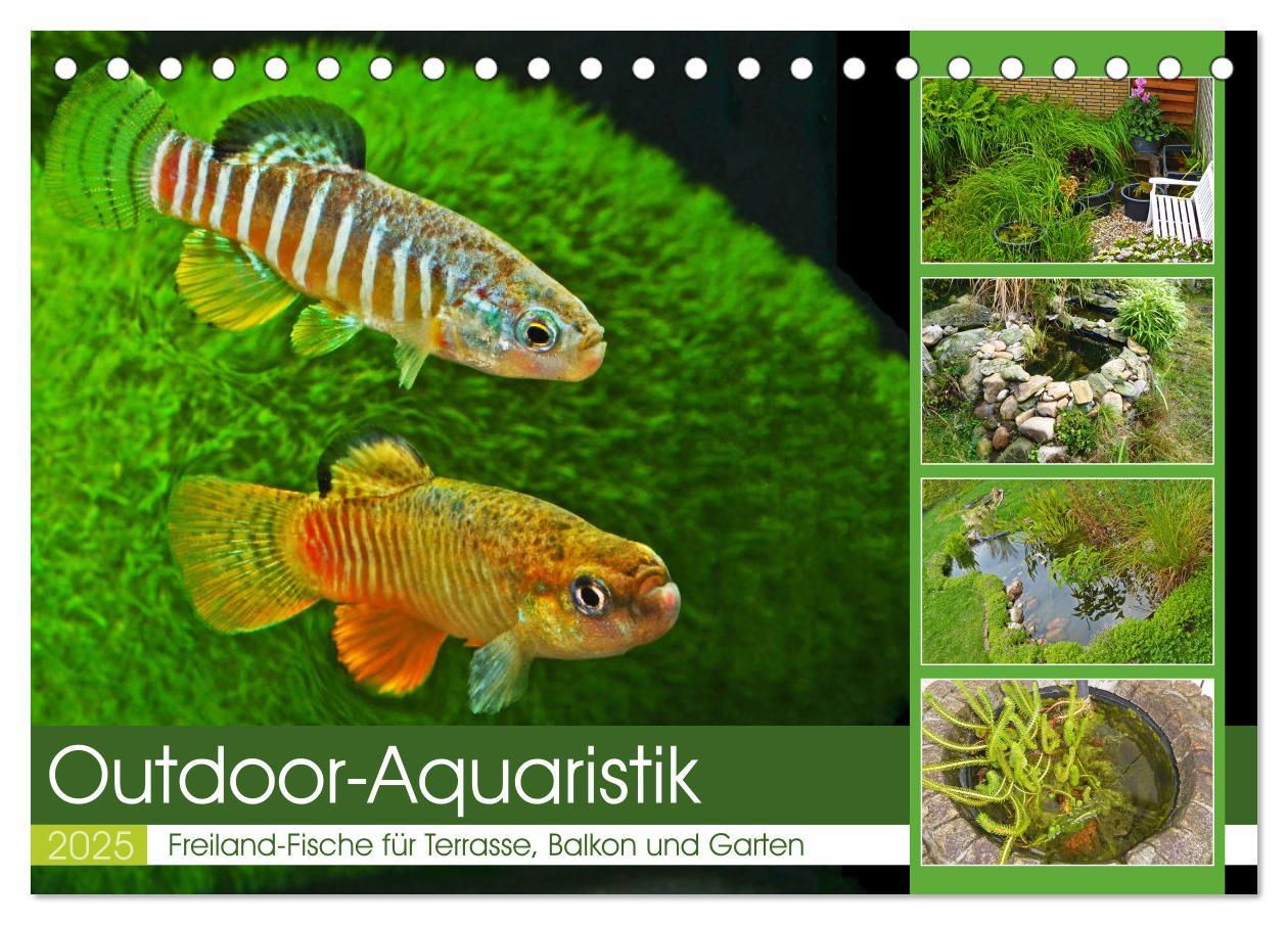 Cover: 9783383912184 | Outdoor-Aquaristik (Tischkalender 2025 DIN A5 quer), CALVENDO...