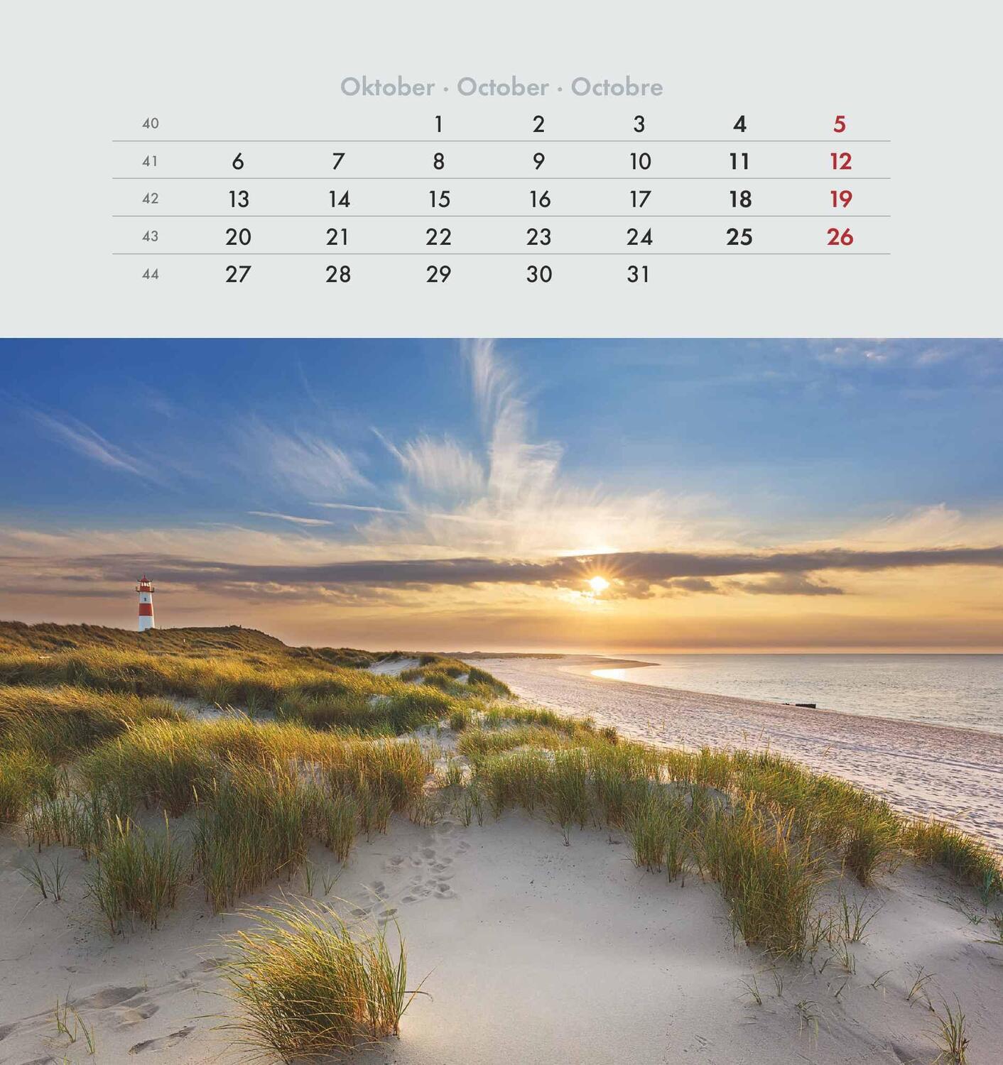 Bild: 4251732342333 | Seeblick 2025 - Postkartenkalender 16x17 cm - Sea View - zum...