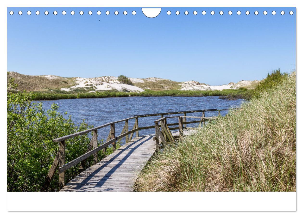 Bild: 9783383861031 | Amrum - Das Paradies in der Nordsee (Wandkalender 2025 DIN A4...