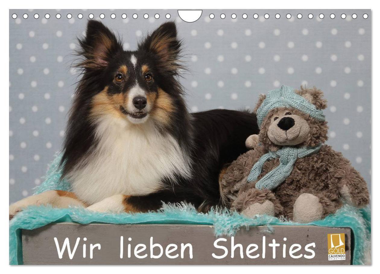 Cover: 9783435606795 | Wir lieben Shelties (Wandkalender 2025 DIN A4 quer), CALVENDO...