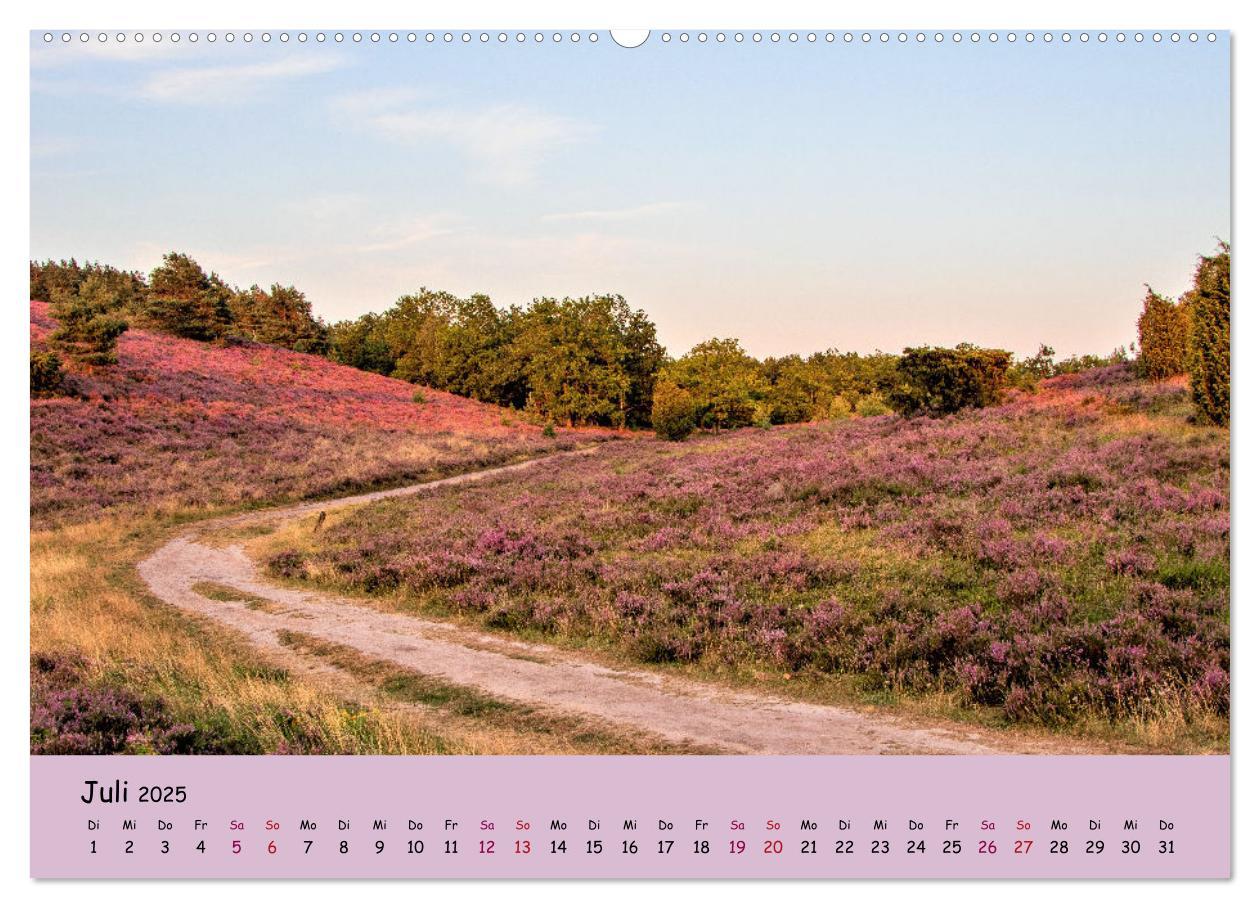 Bild: 9783435024810 | Lüneburger Heide Wege (hochwertiger Premium Wandkalender 2025 DIN...