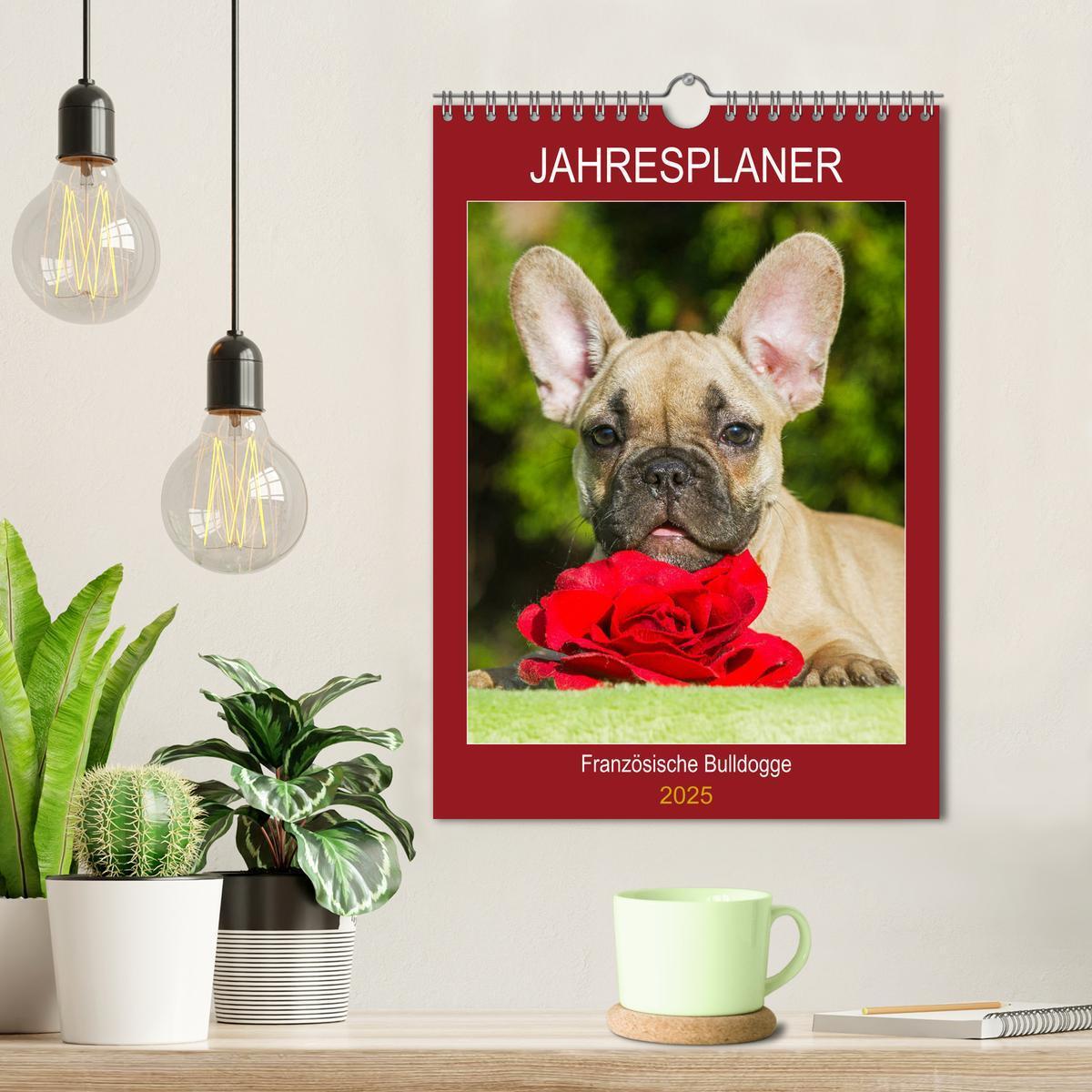 Bild: 9783435959662 | Jahresplaner Französische Bulldogge (Wandkalender 2025 DIN A4...