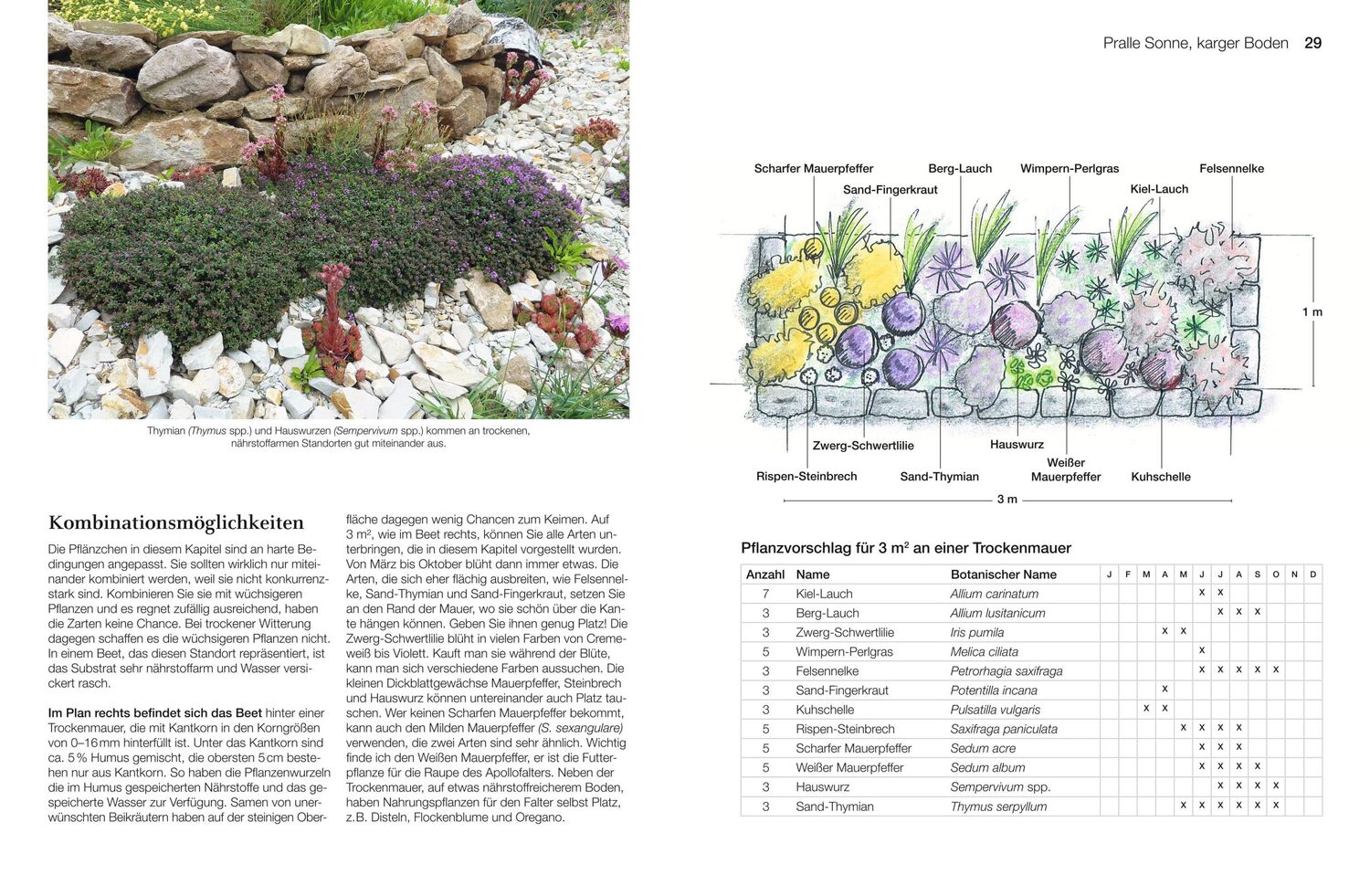 Bild: 9783967470048 | Welche Pflanze passt wohin im Naturgarten? | Paula Polak | Buch | 2020