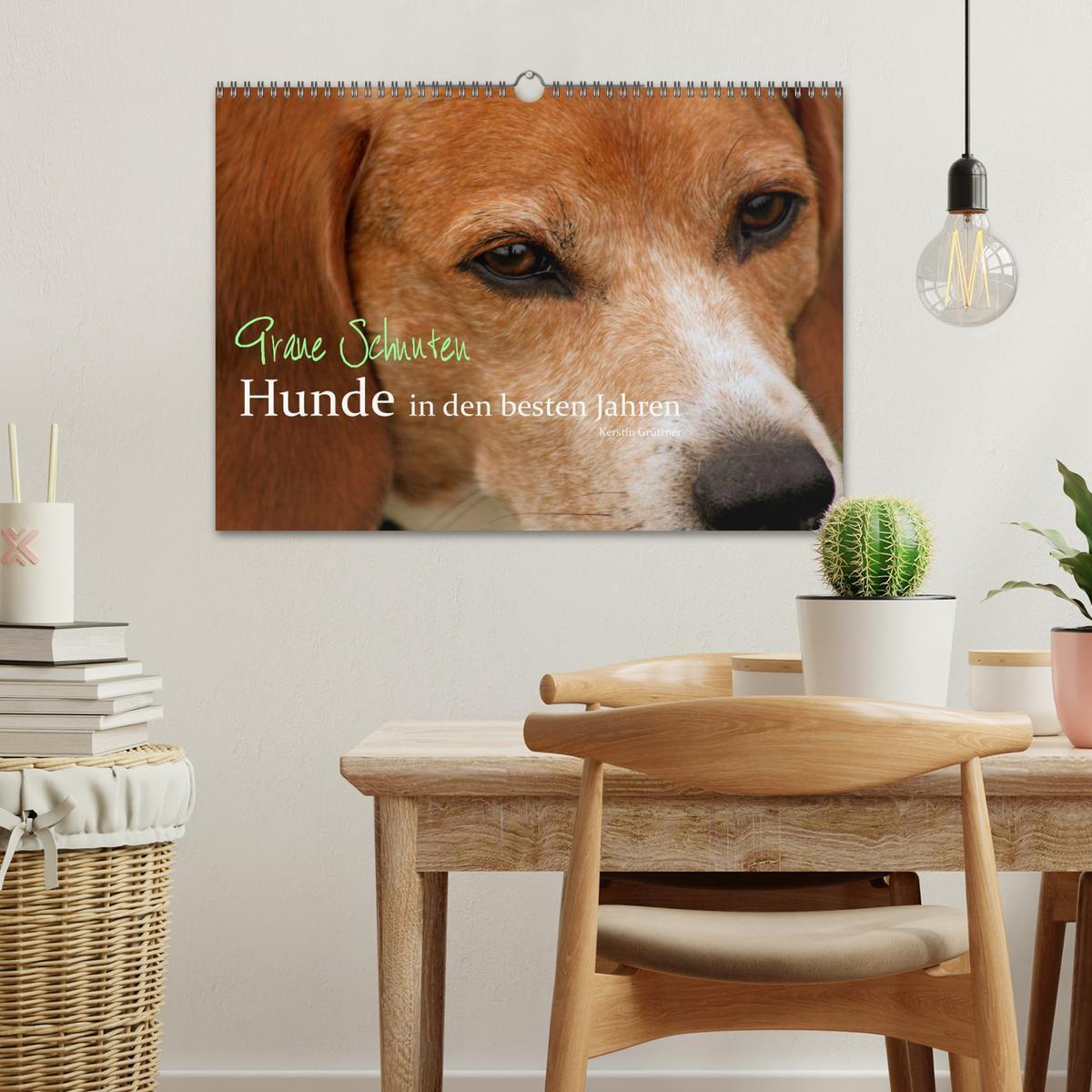 Bild: 9783435643622 | Graue Schnuten - Hunde in den besten Jahren (Wandkalender 2025 DIN...