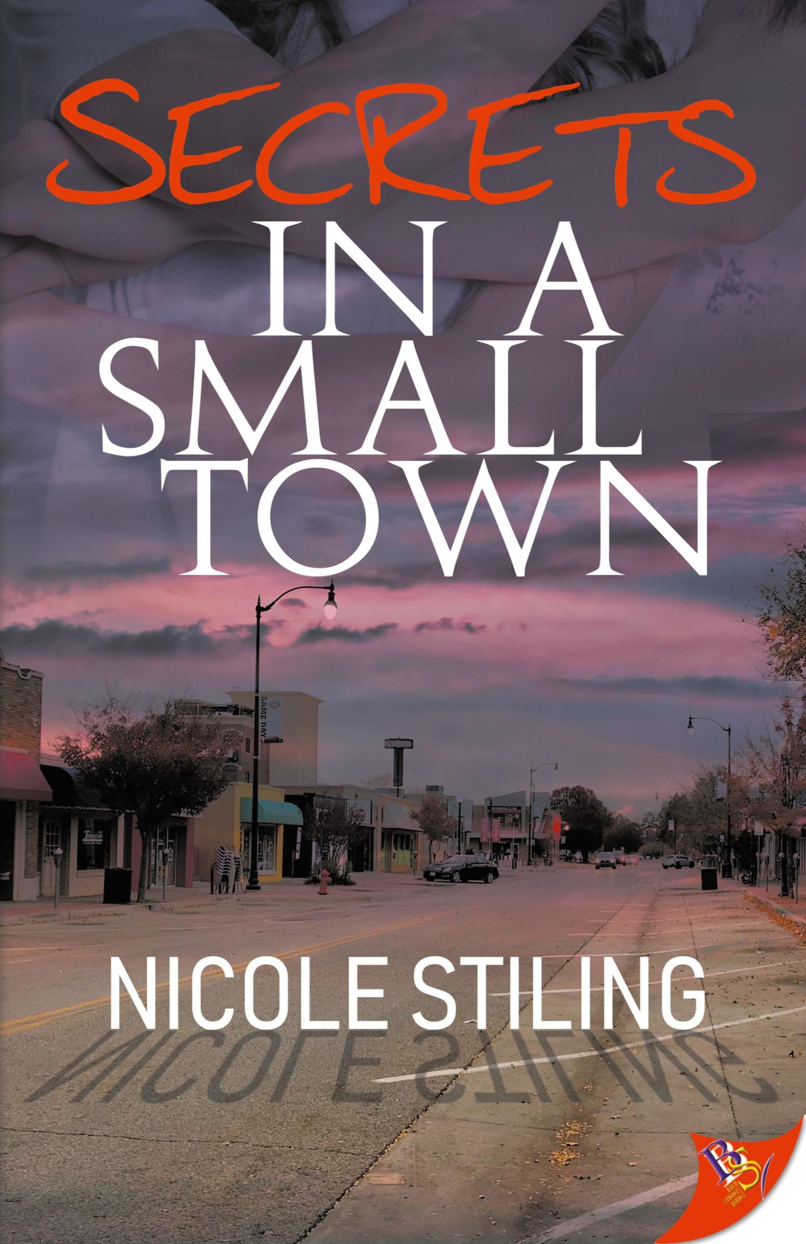 Cover: 9781635554366 | Secrets in a Small Town | Nicole Stiling | Taschenbuch | Englisch