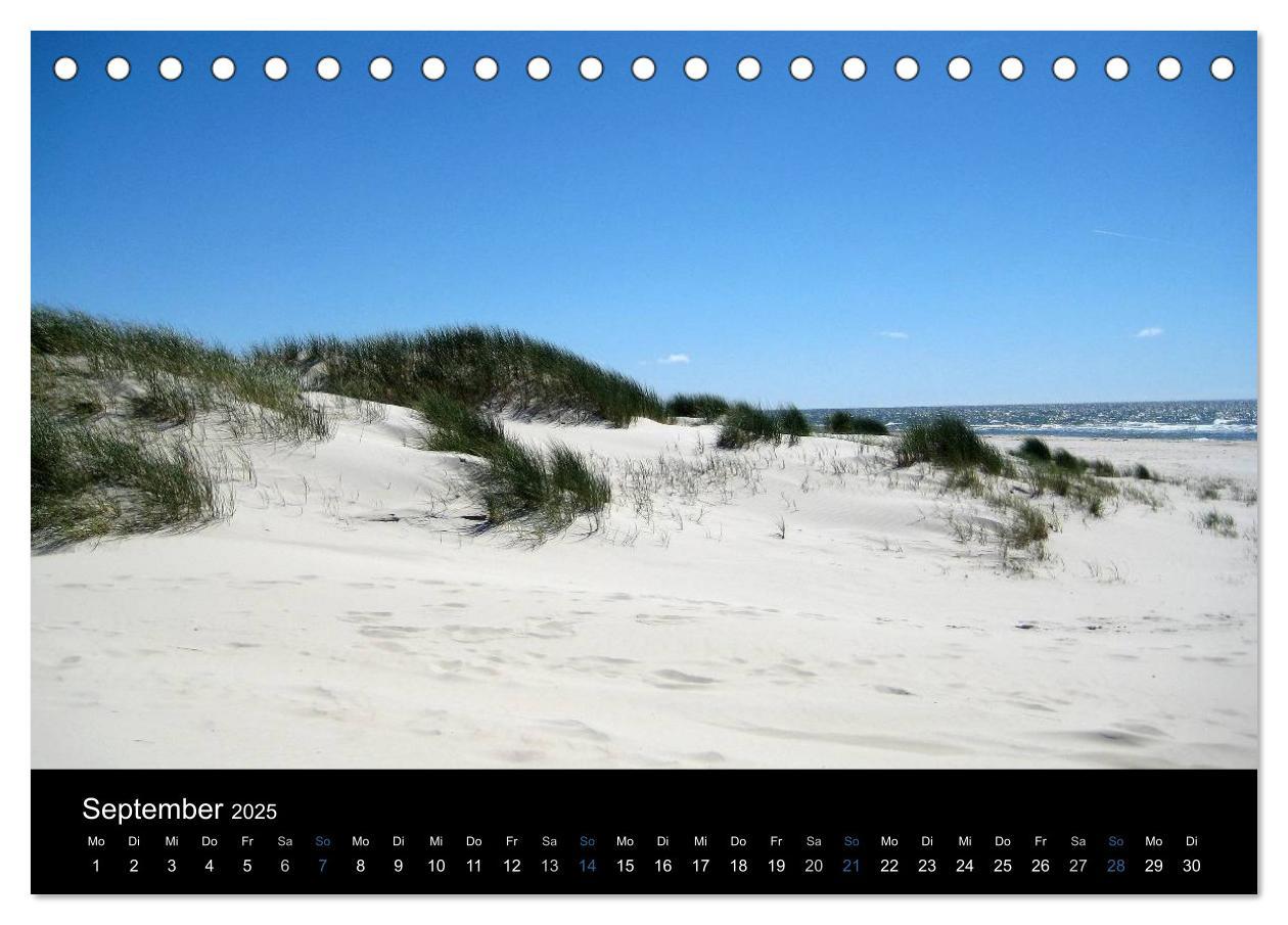 Bild: 9783435785735 | Die Insel Amrum (Tischkalender 2025 DIN A5 quer), CALVENDO...