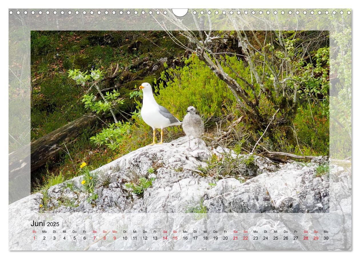 Bild: 9783435180295 | Walchensee (Wandkalender 2025 DIN A3 quer), CALVENDO Monatskalender