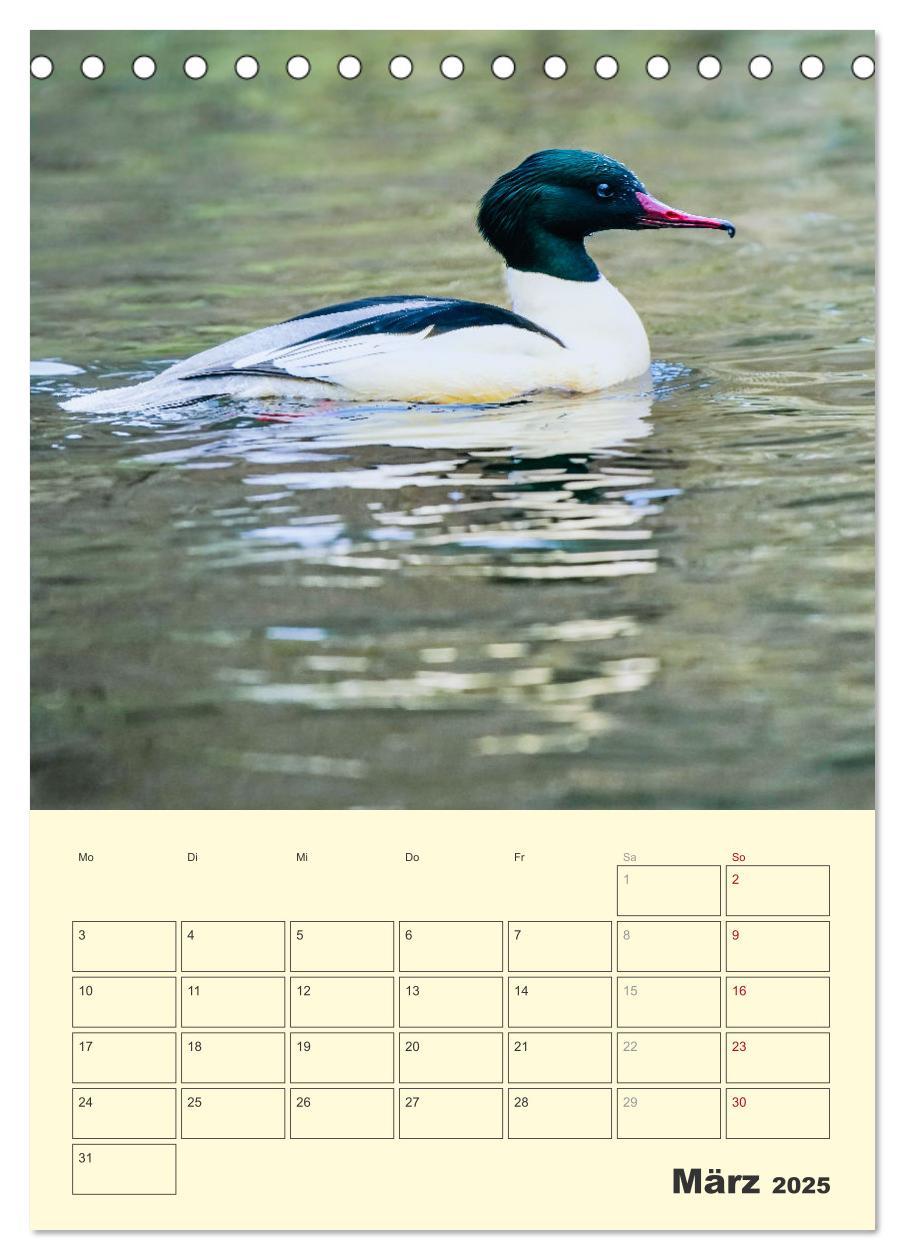 Bild: 9783435910656 | Vogelwelt an der Sieg (Tischkalender 2025 DIN A5 hoch), CALVENDO...