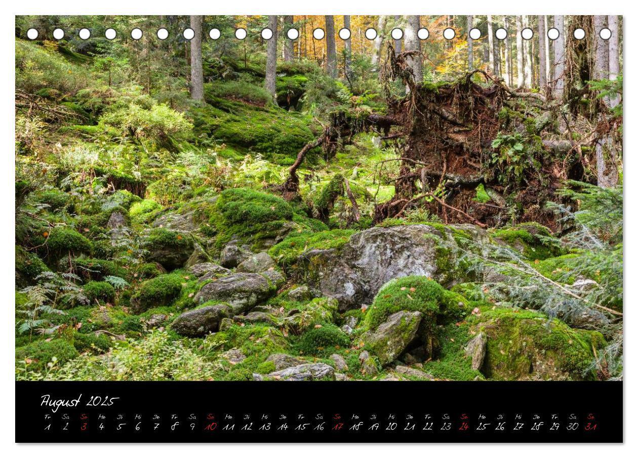 Bild: 9783435809493 | Bayerischer Wald (Tischkalender 2025 DIN A5 quer), CALVENDO...