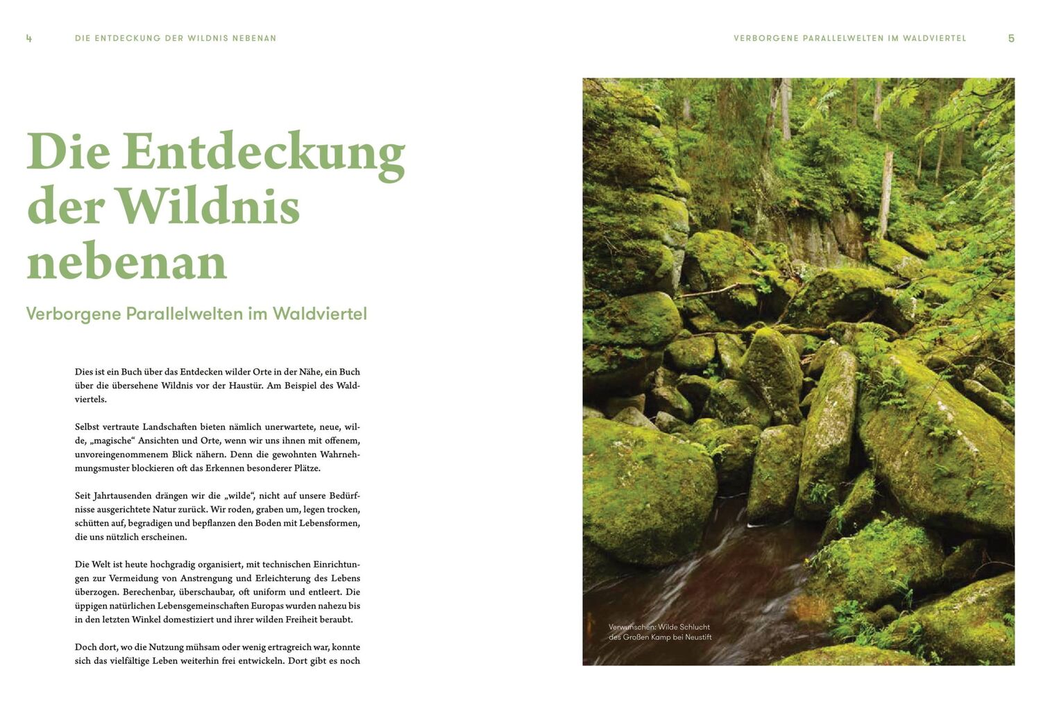 Bild: 9783710606014 | Wildes Waldviertel | Matthias Schickhofer | Buch | 208 S. | Deutsch