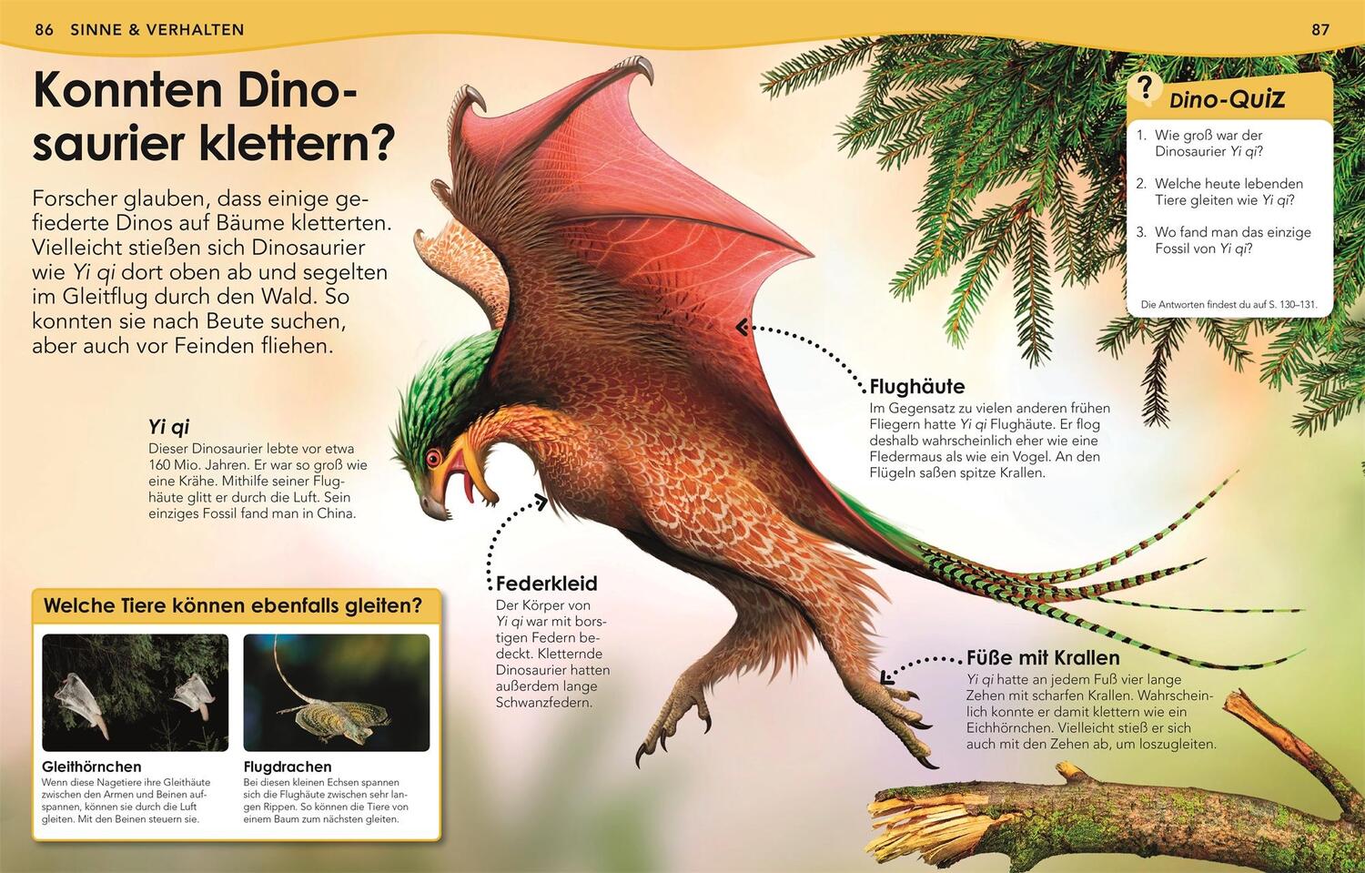 Bild: 9783831040582 | Weshalb? Deshalb! Dinos | Das Frage-und-Antwort-Lexikon | Buch | 2020