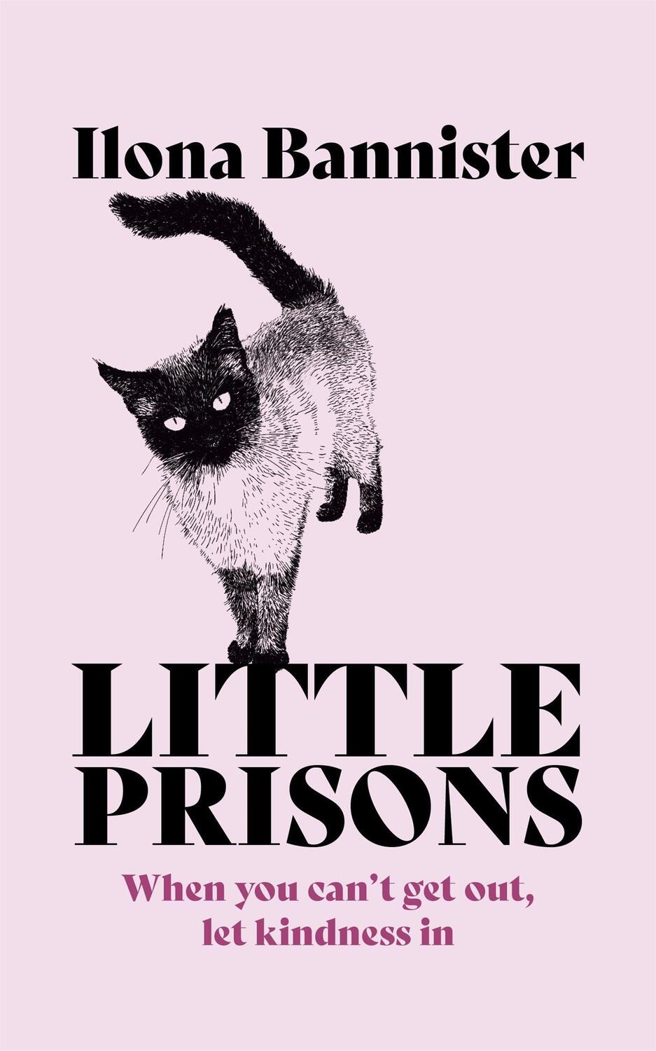 Cover: 9781529353921 | Little Prisons | Ilona Bannister | Taschenbuch | Englisch | 2023