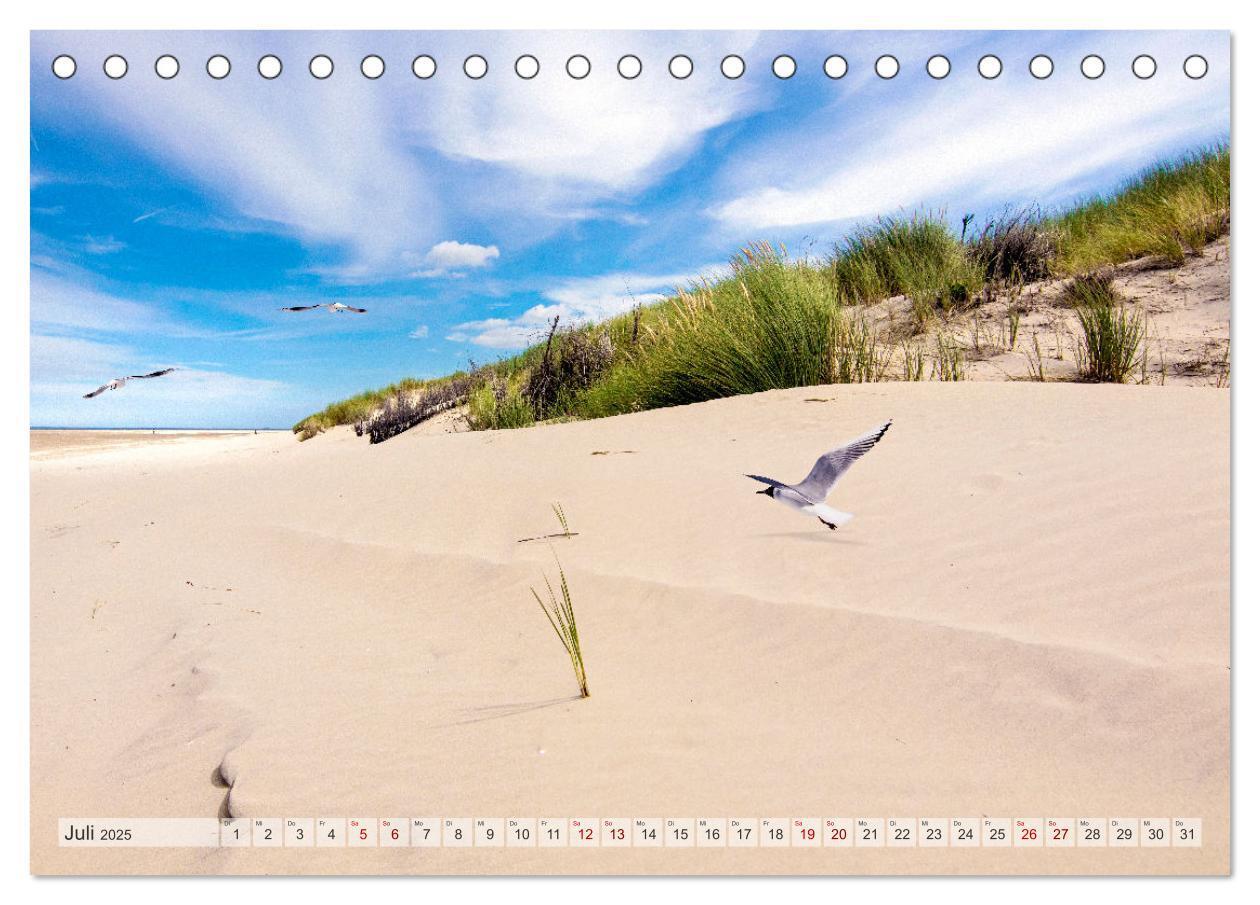 Bild: 9783435080137 | BORKUM-LIEBE (Tischkalender 2025 DIN A5 quer), CALVENDO Monatskalender