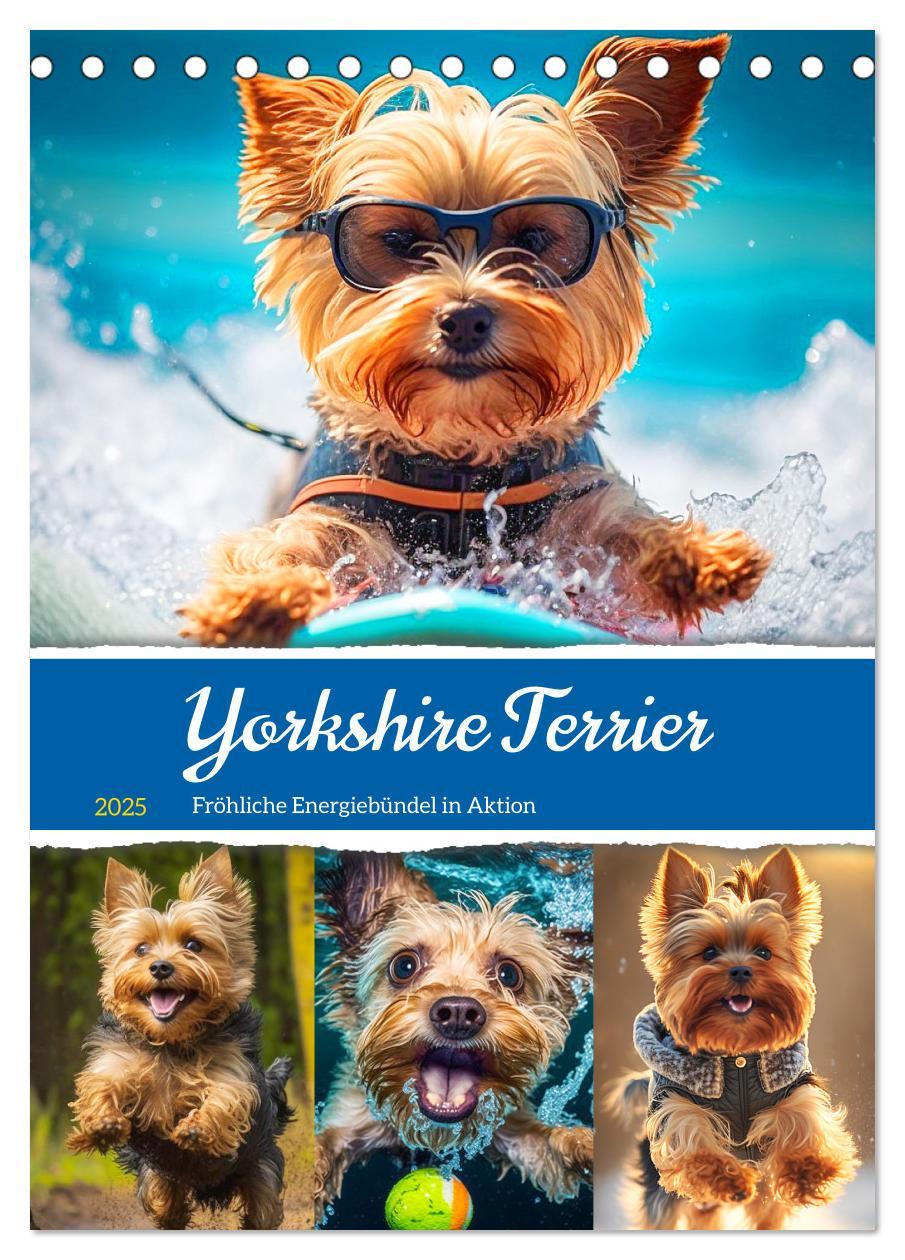 Cover: 9783435874705 | Yorkshire Terrier. Fröhliche Energiebündel in Aktion (Tischkalender...