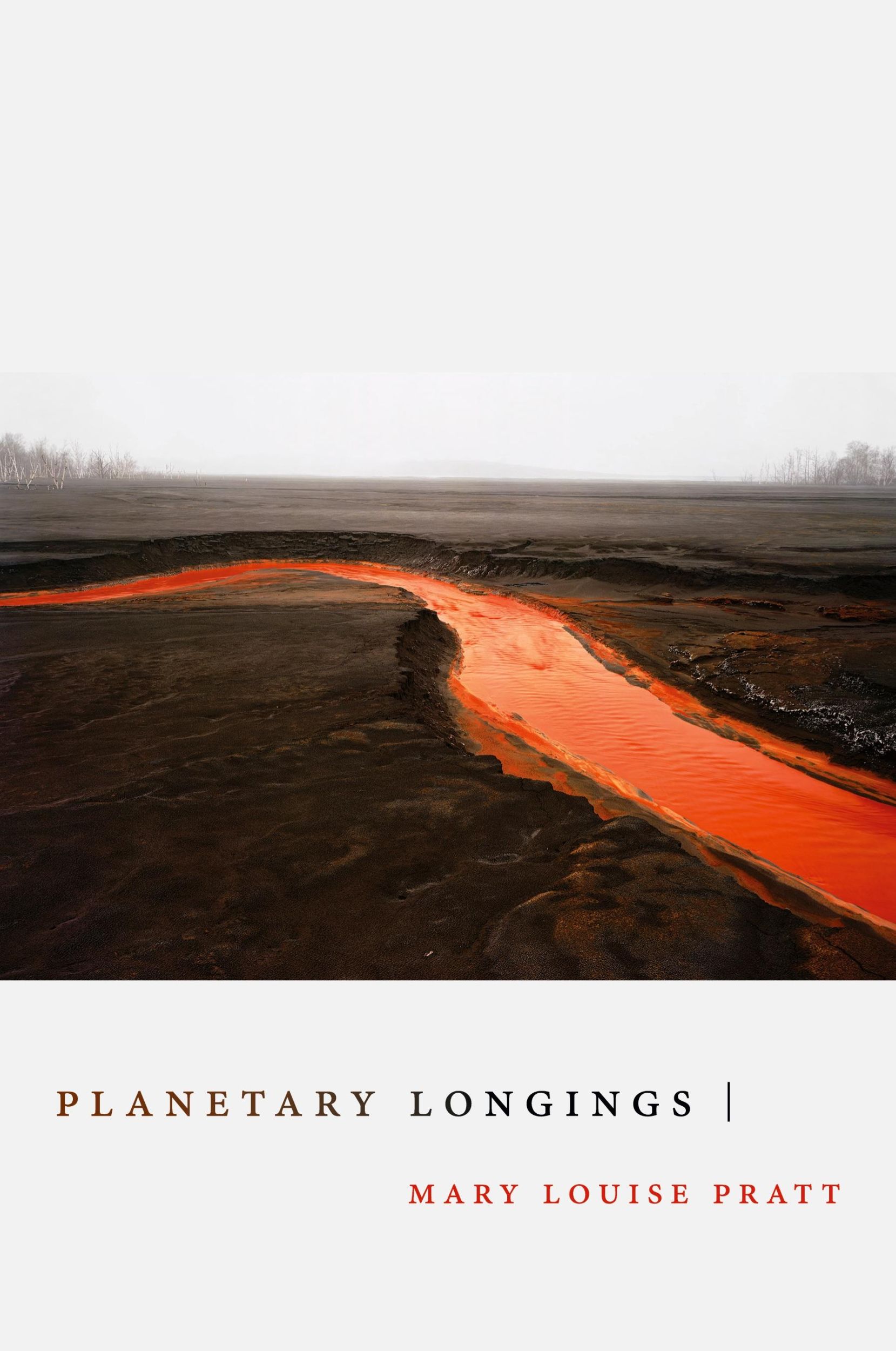 Cover: 9781478018292 | Planetary Longings | Mary Louise Pratt | Taschenbuch | Paperback