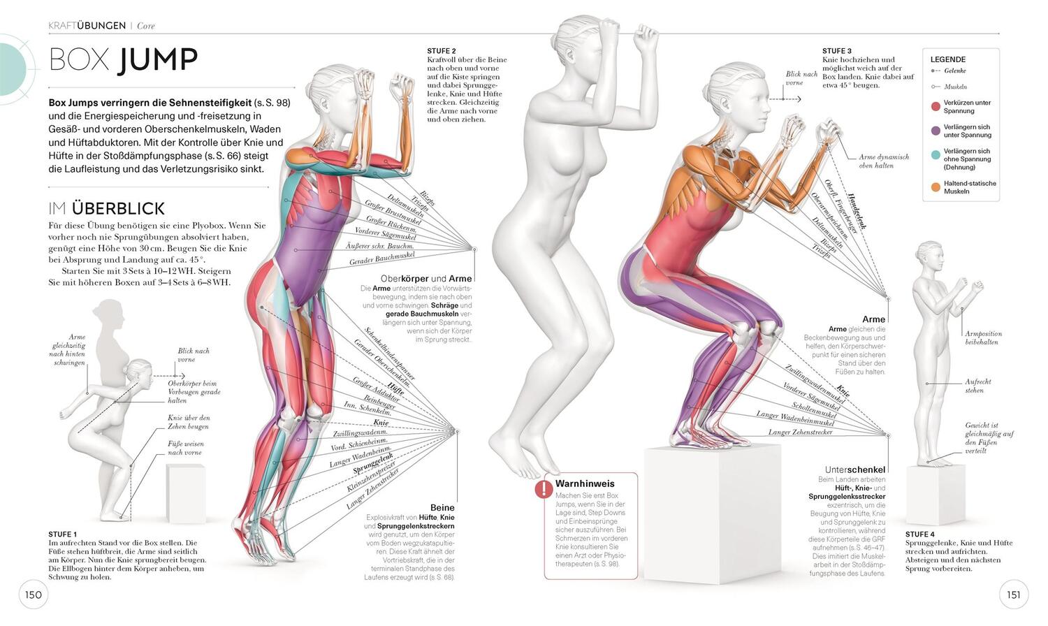 Bild: 9783831040155 | Lauftraining - Die Anatomie verstehen | Chris Napier | Taschenbuch