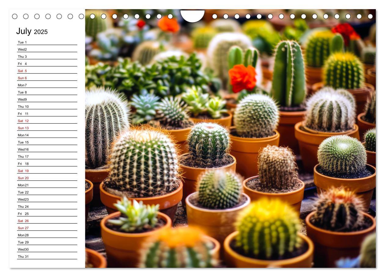 Bild: 9781325833092 | Cacti Wonderland (Wall Calendar 2025 DIN A4 landscape), CALVENDO 12...