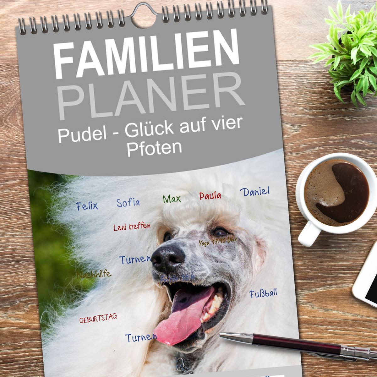 Bild: 9783457194904 | Familienplaner 2025 - Pudel - Glück auf vier Pfoten mit 5 Spalten...