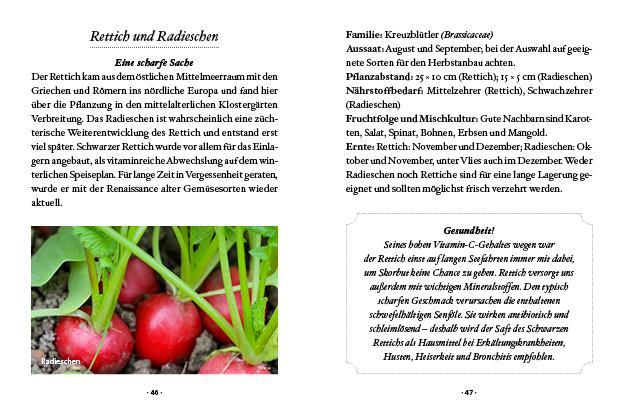 Bild: 9783710402425 | Das kleine Buch: Wintergemüse | Vitamine ernten bei Schnee & Frost